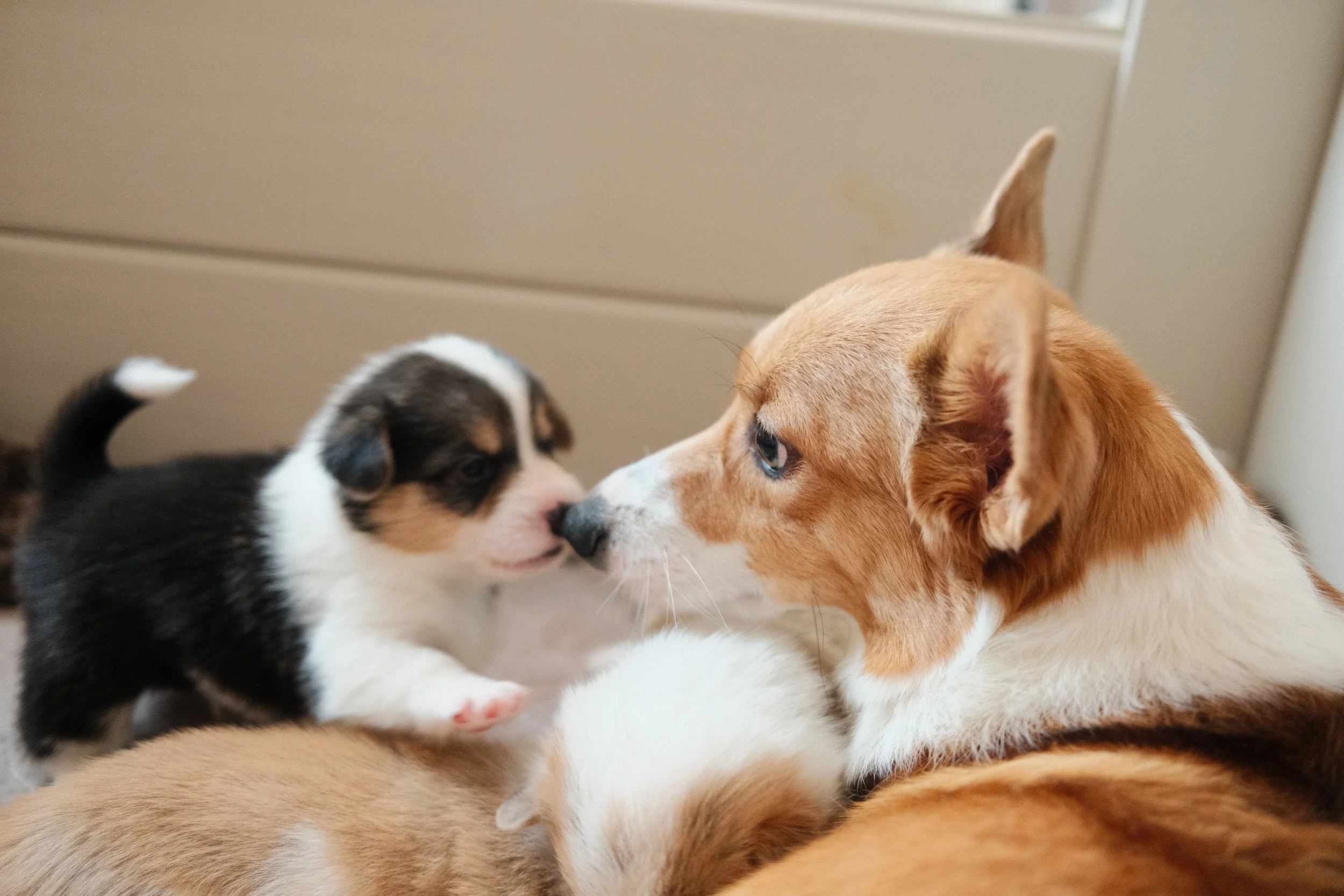 margot and children.JPG