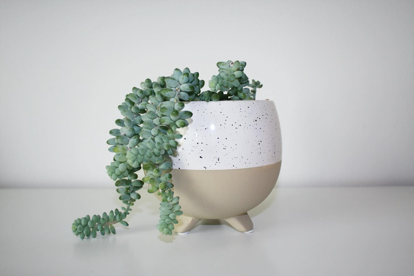 Just two more days of the Mother&rsquo;s Day sale! Grab one of these gorgeous plant pots, fill it with a pretty plant, stick in a cute Mother&rsquo;s Day plant marker, and you have the perfect gift for mom 💛
Everything is 25% off with code MAMA25 un