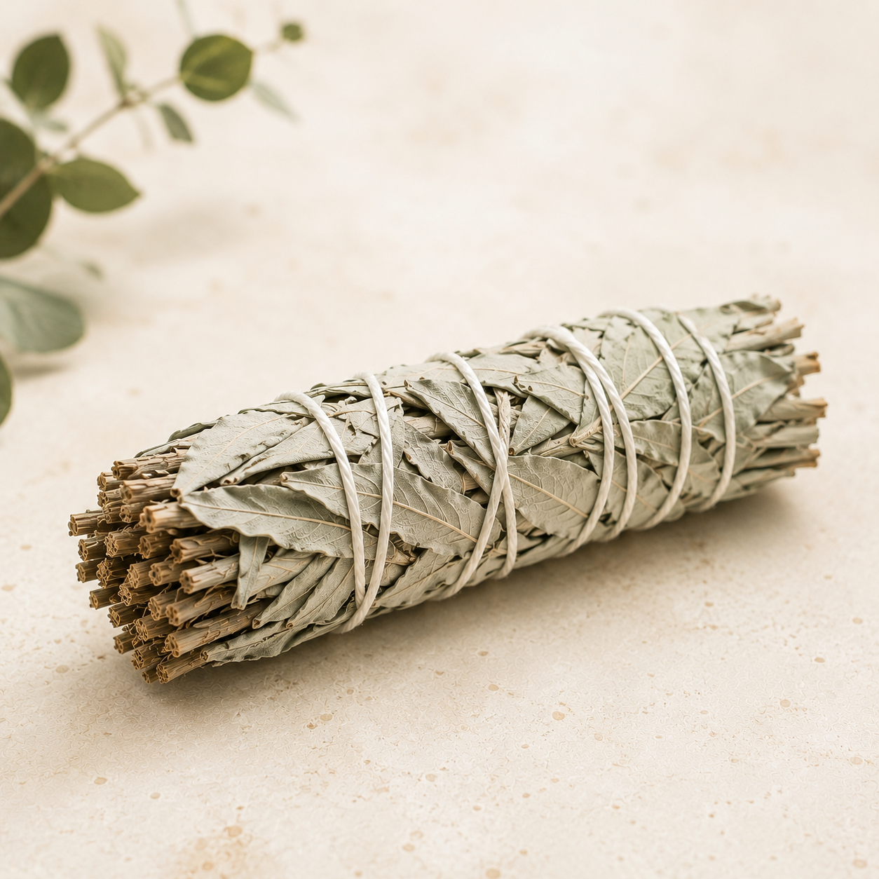 Sage