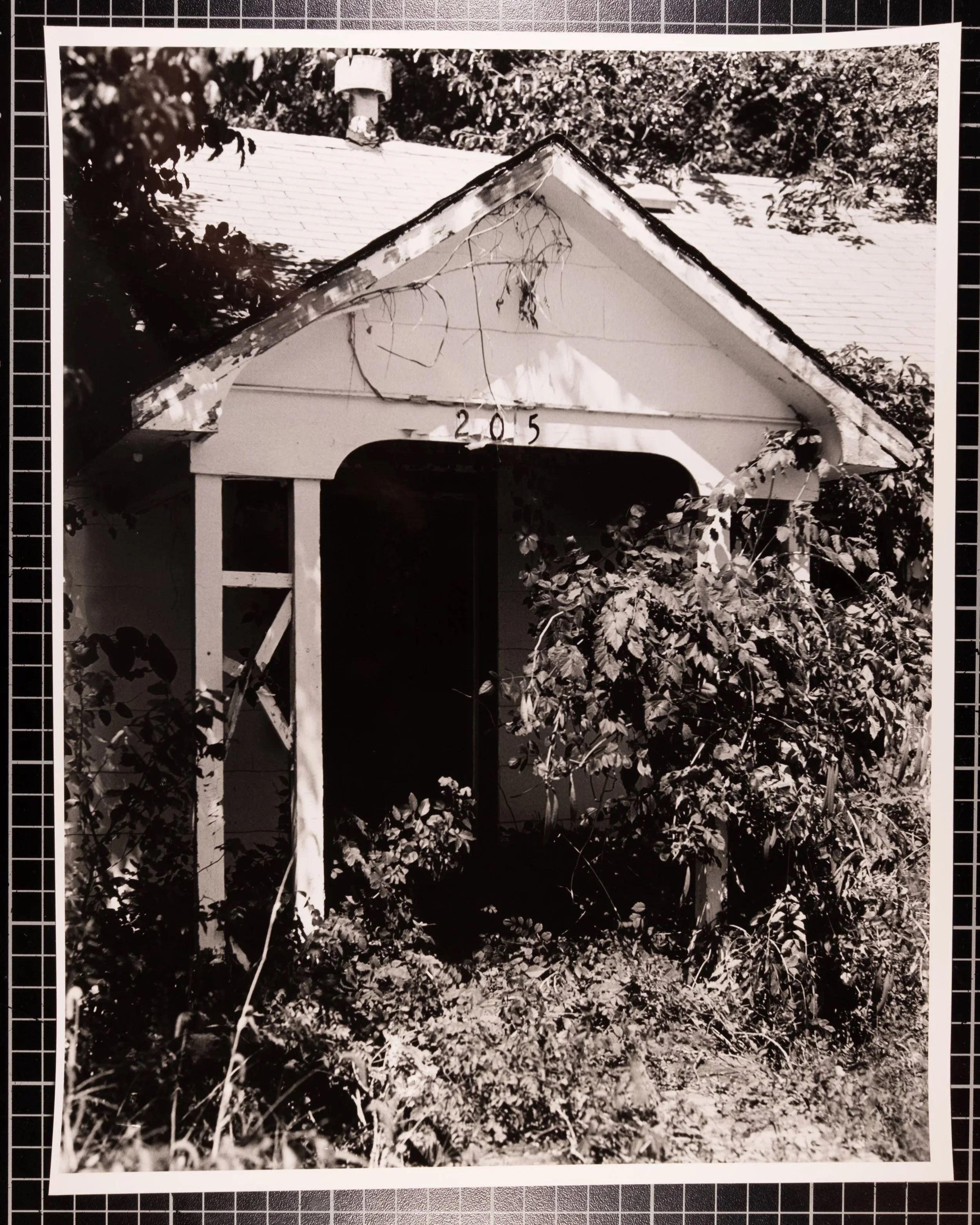 205 - Print
