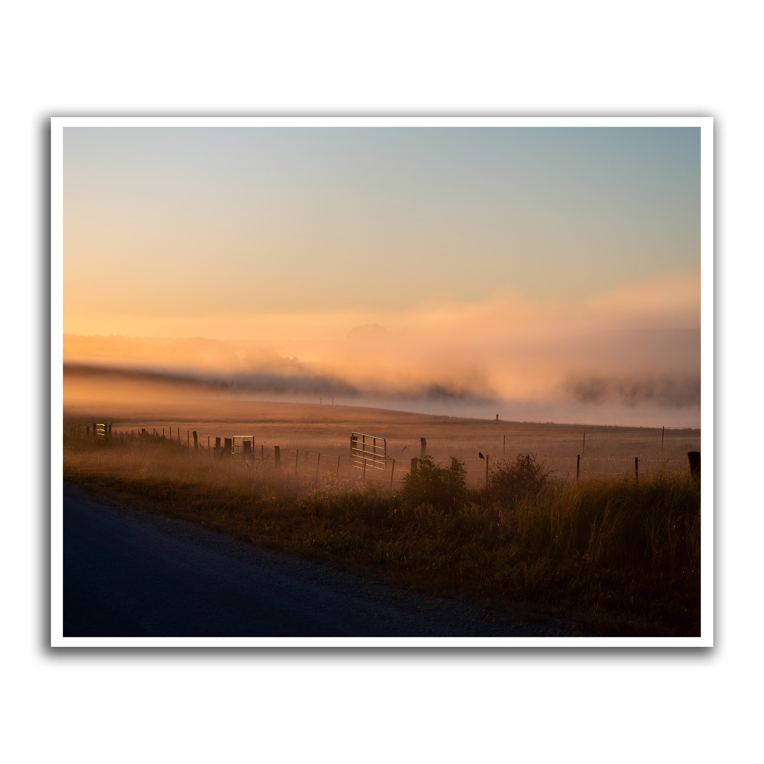 Morning Light #1 - Print