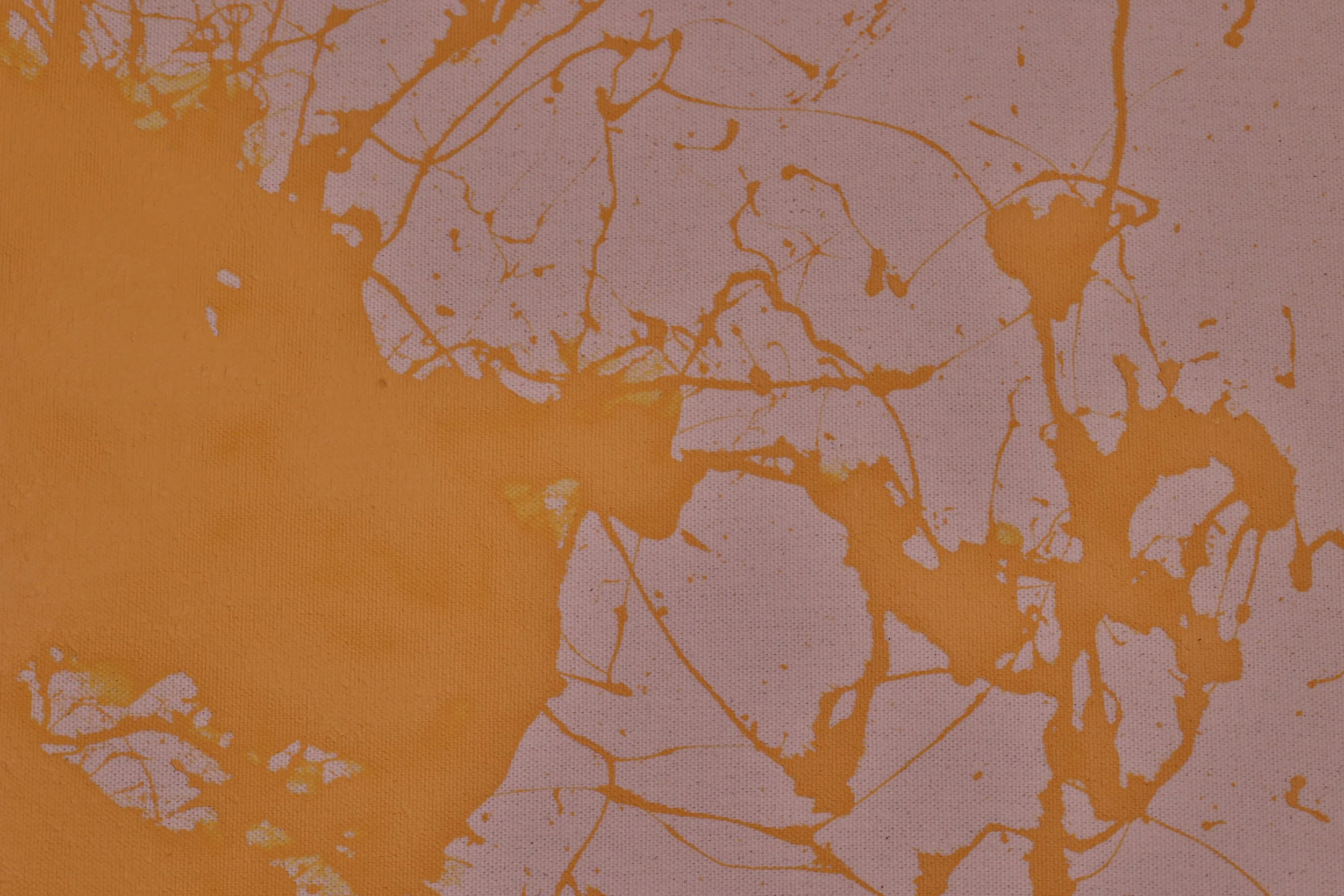 BODI1277.JPG