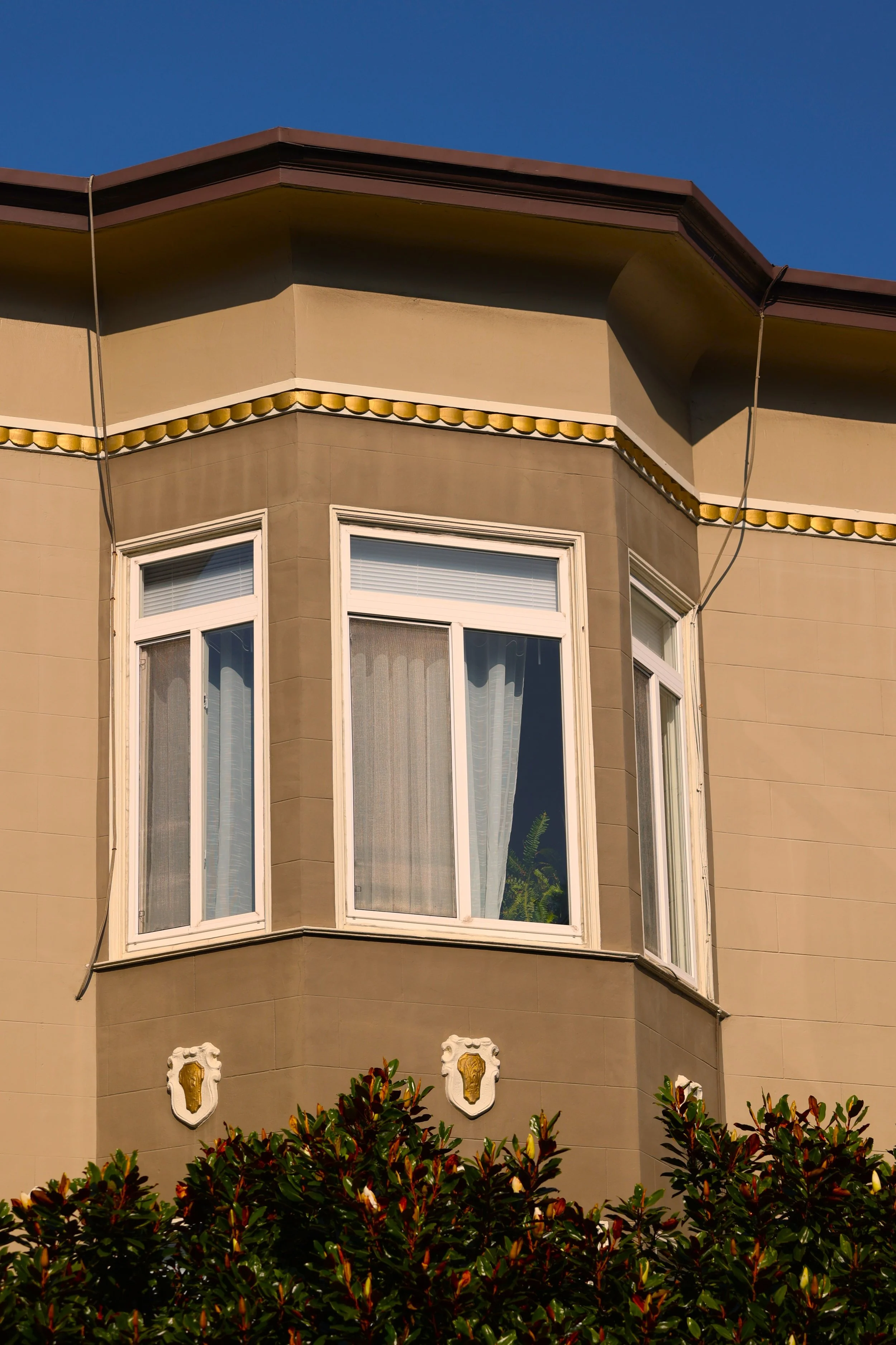 Plants in Other Peoples' Windows #9