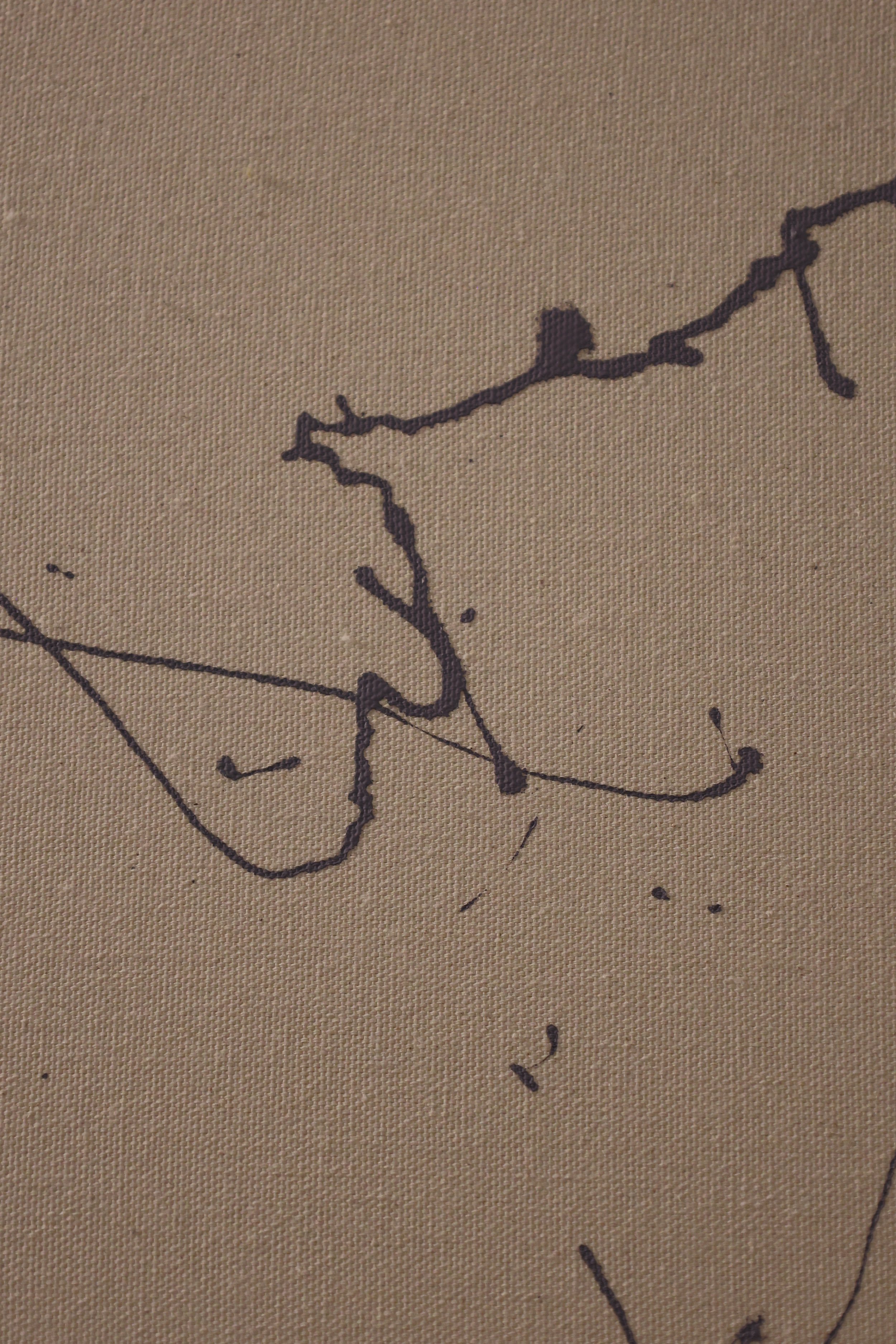 BODI1157.JPG