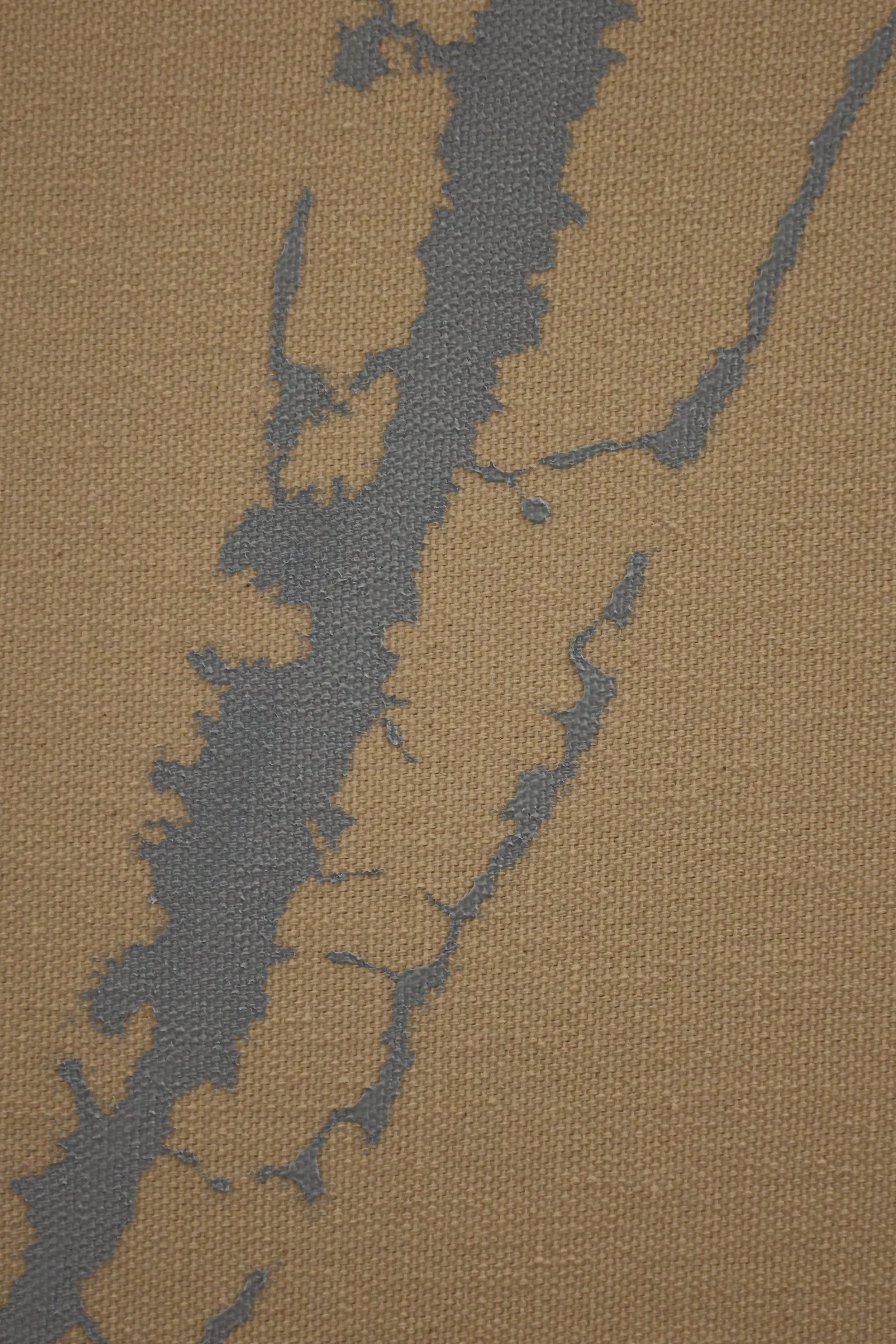 BODI1155.JPG
