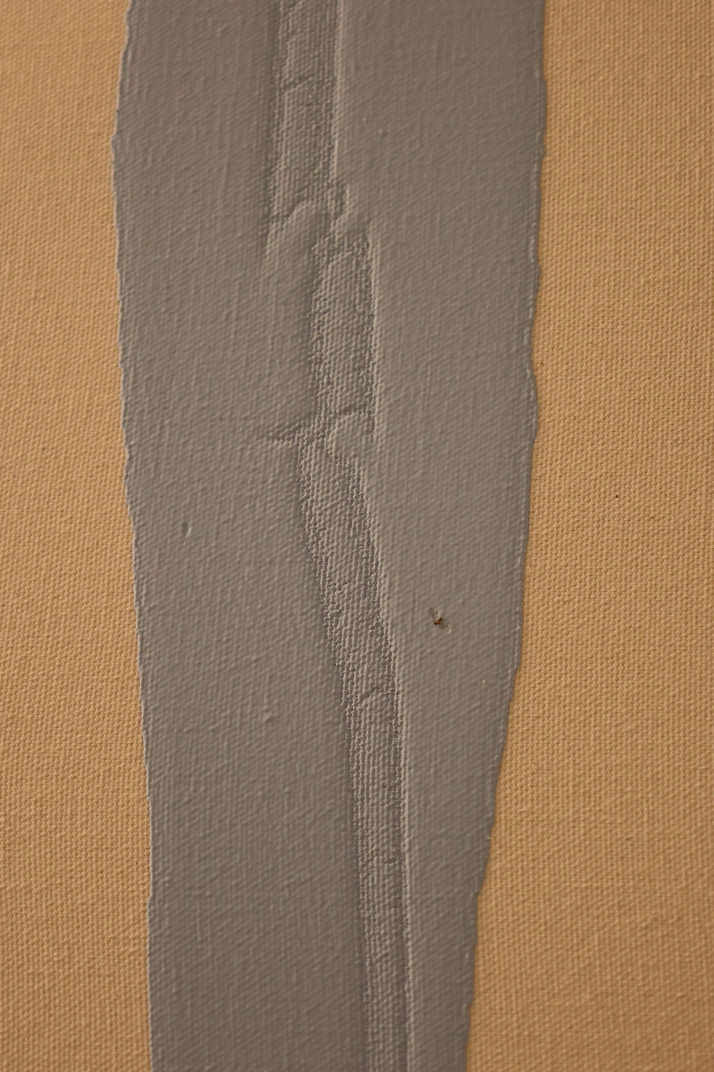 BODI1153.JPG