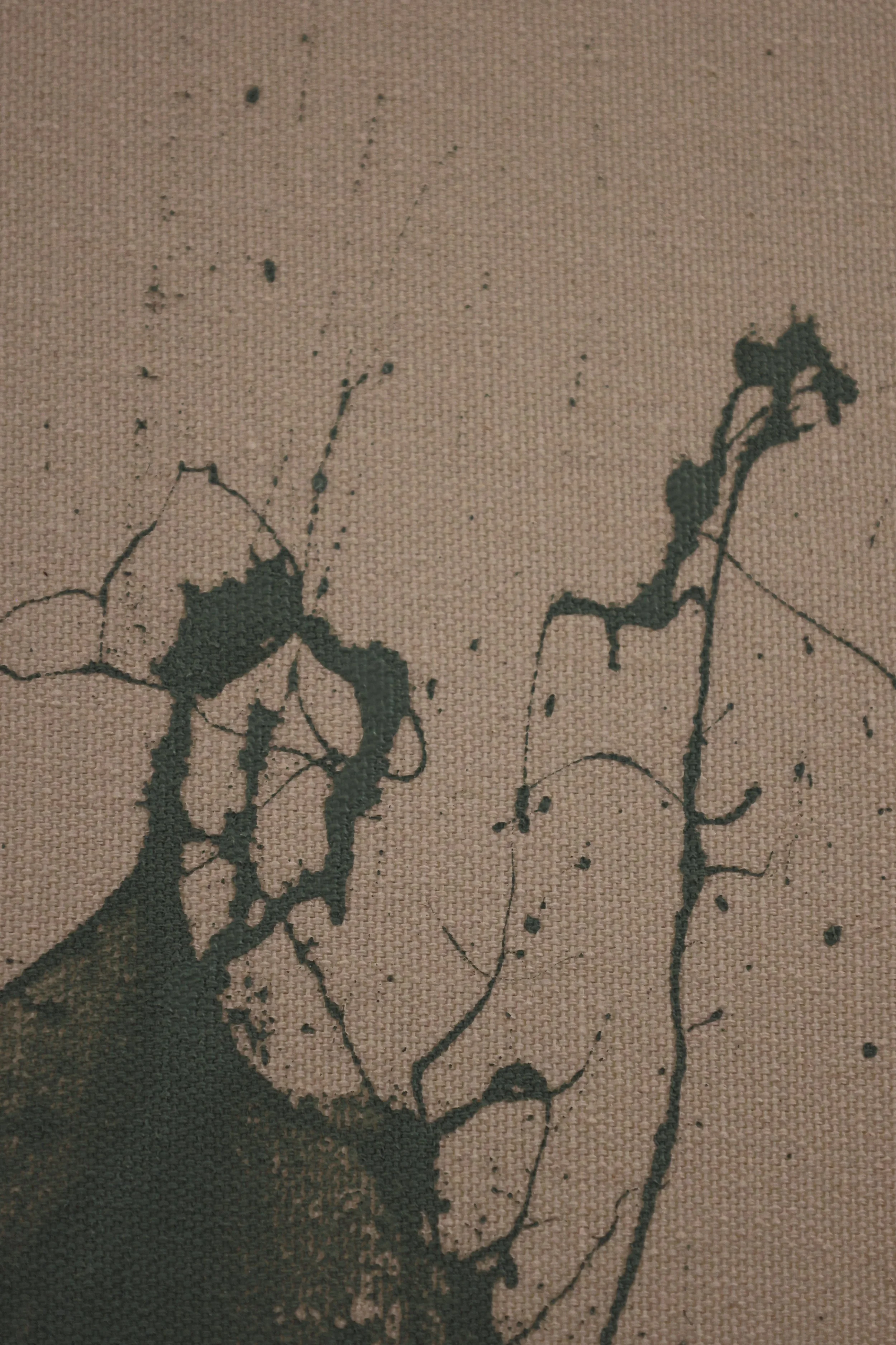 BODI1159.JPG