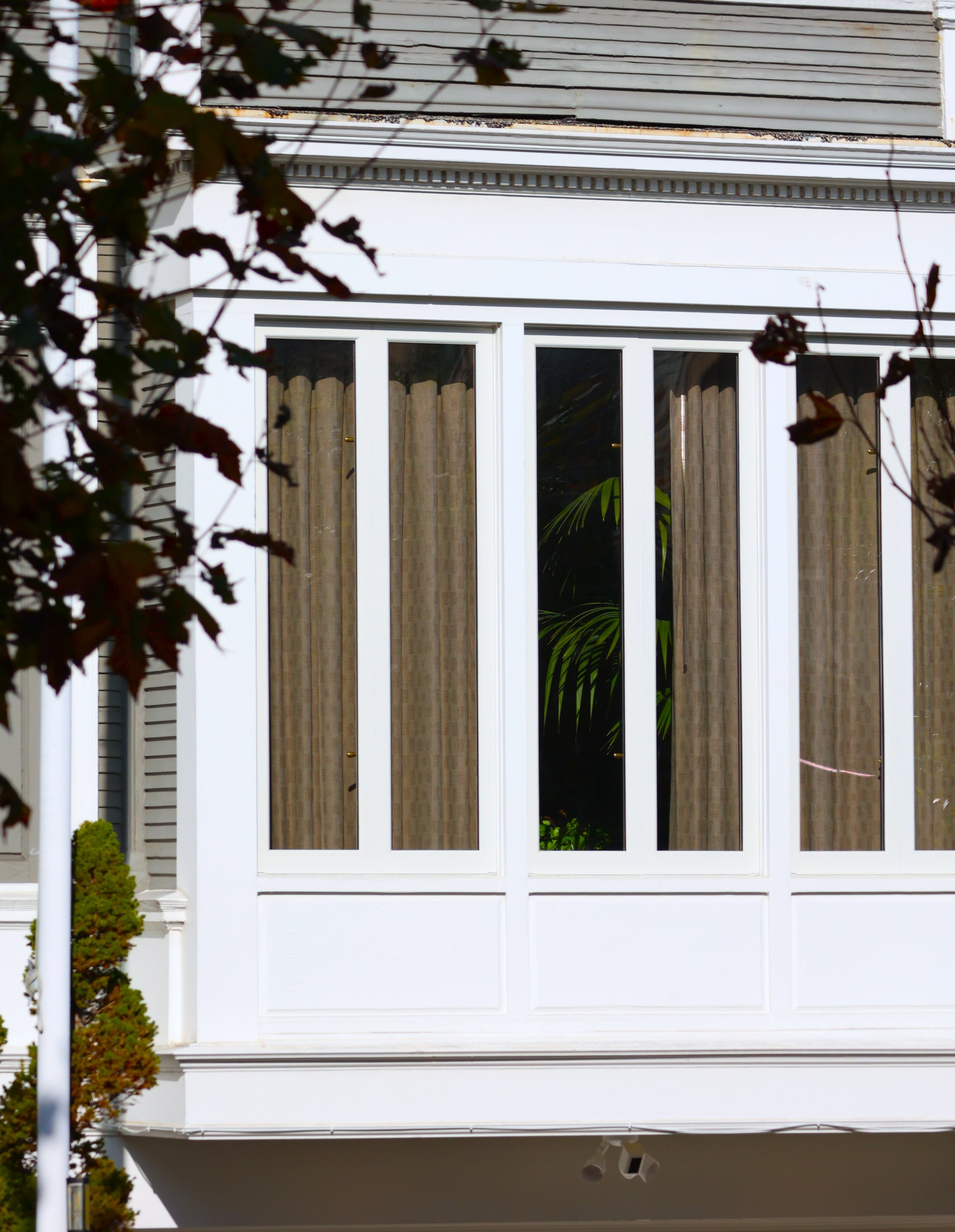 Plants in Other Peoples' Windows #15