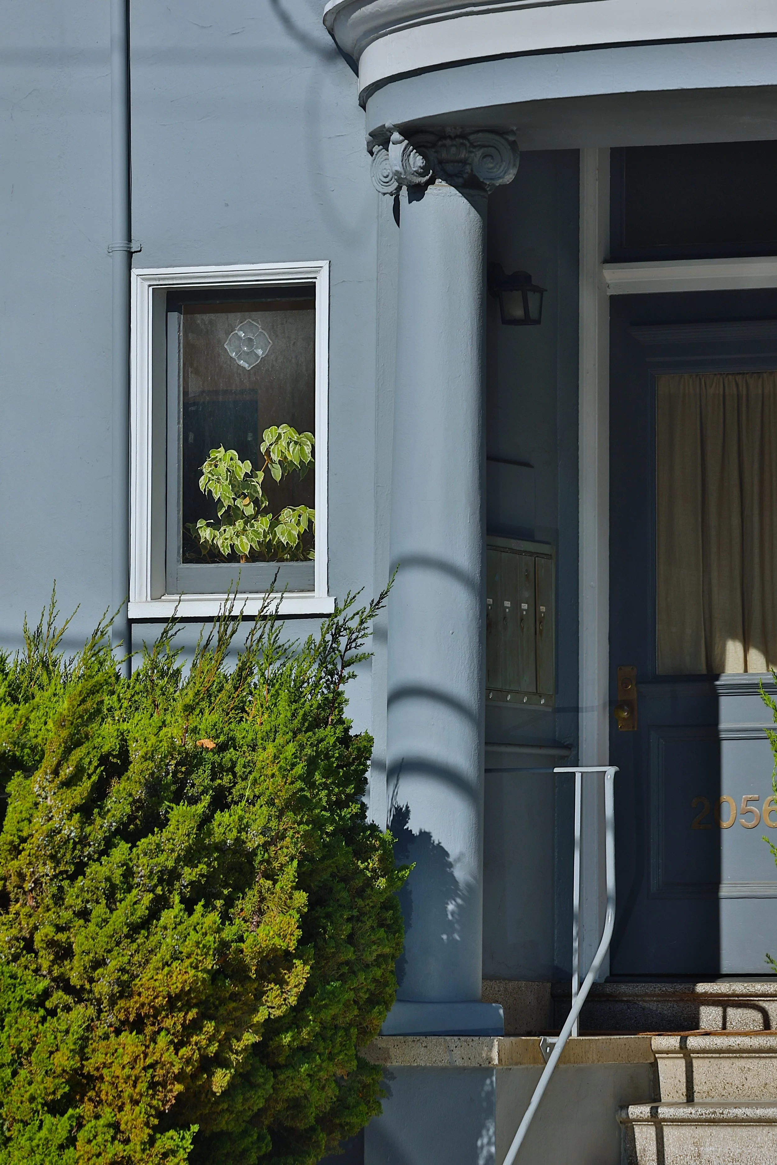 Plants in Other Peoples' Windows #6