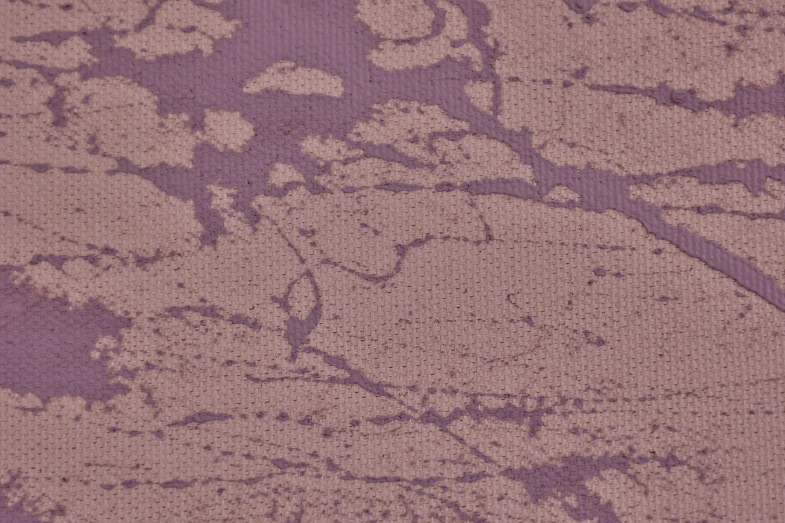 BODI1292.JPG