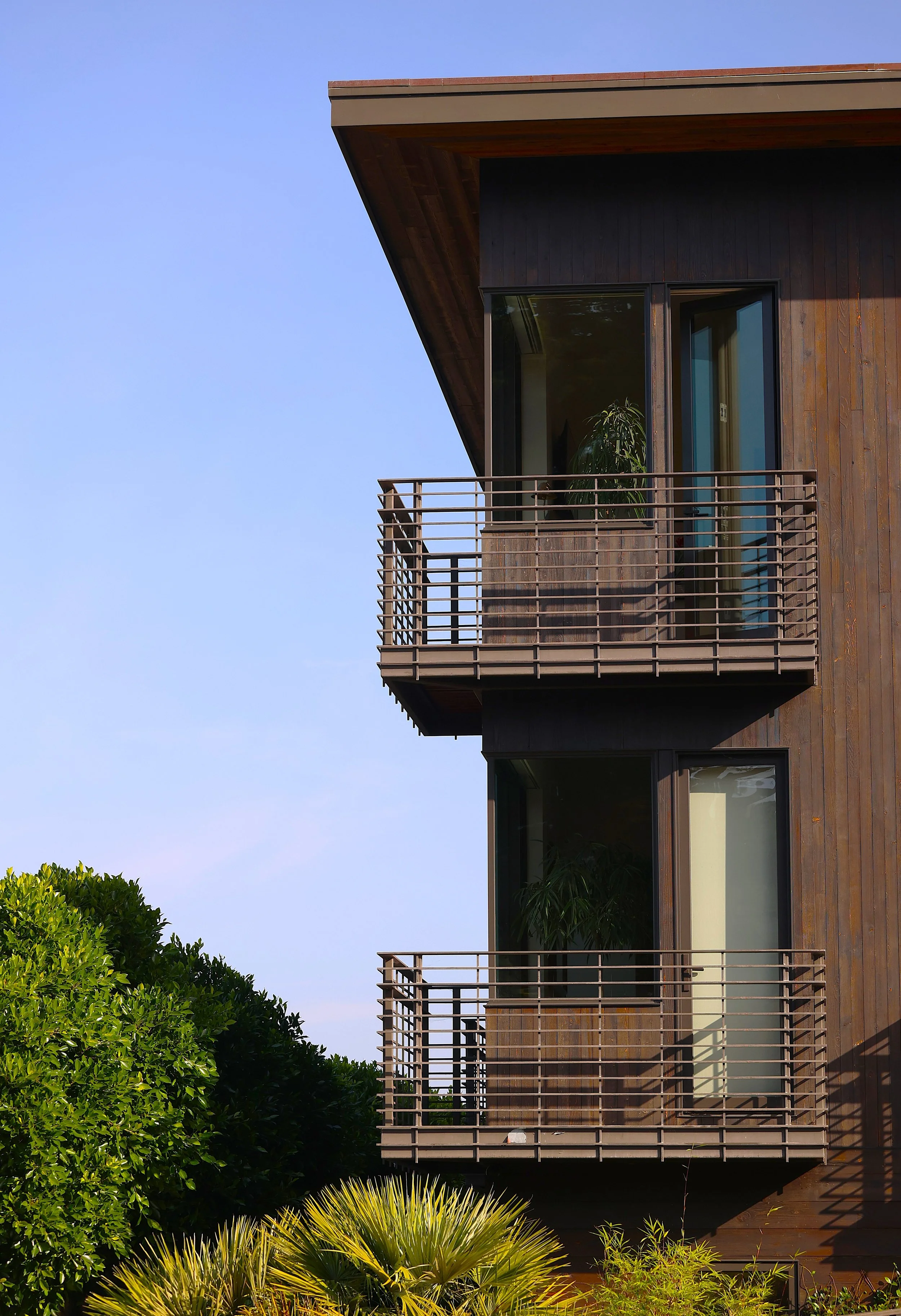 Plants in Other Peoples' Windows #16