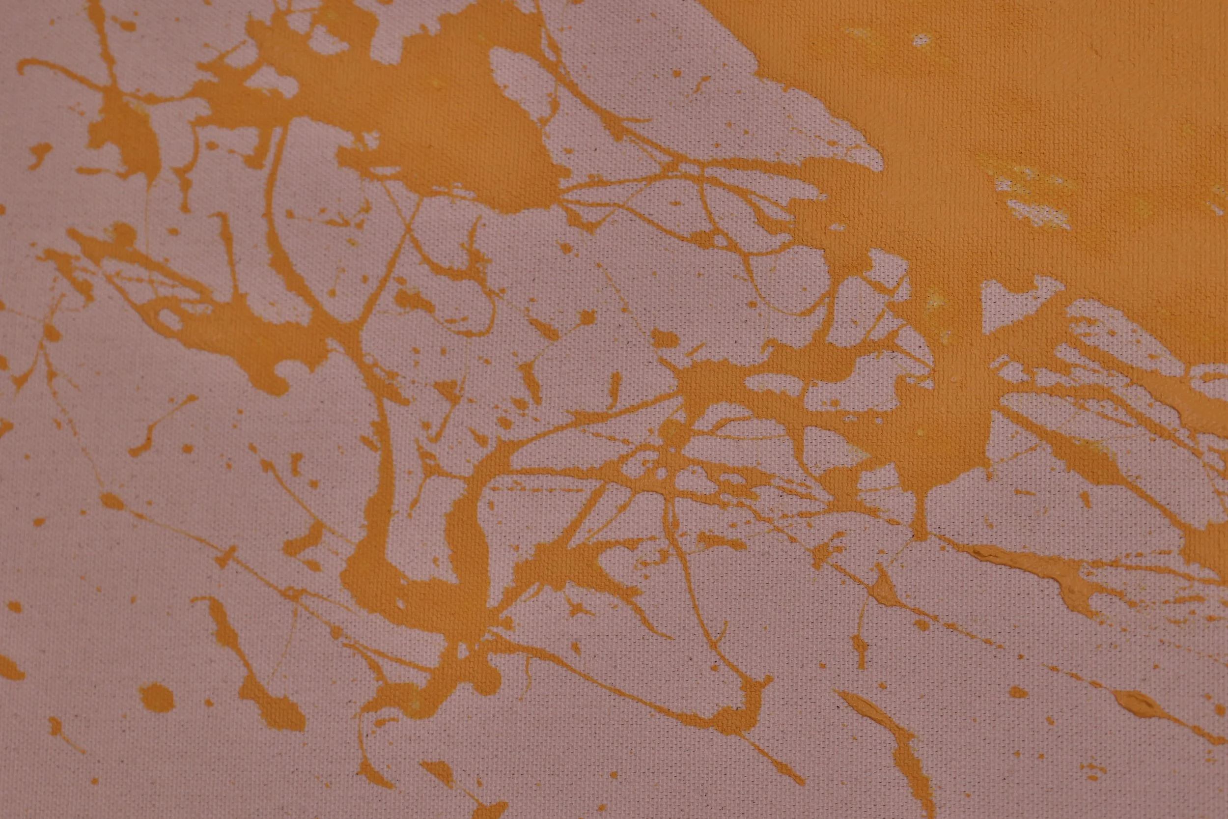 BODI1278.JPG