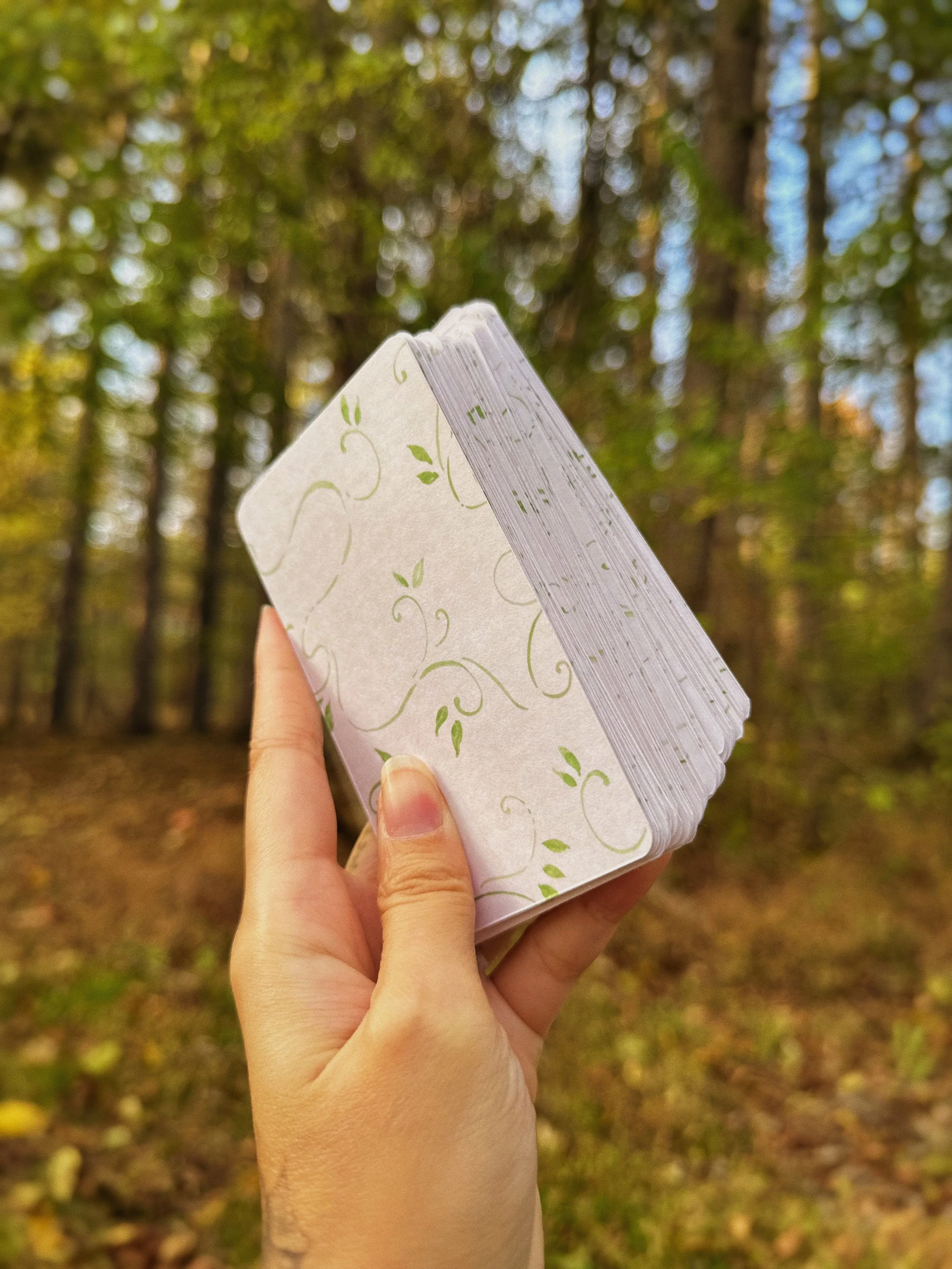 IMG_8164_VSCO.JPG (Copy)