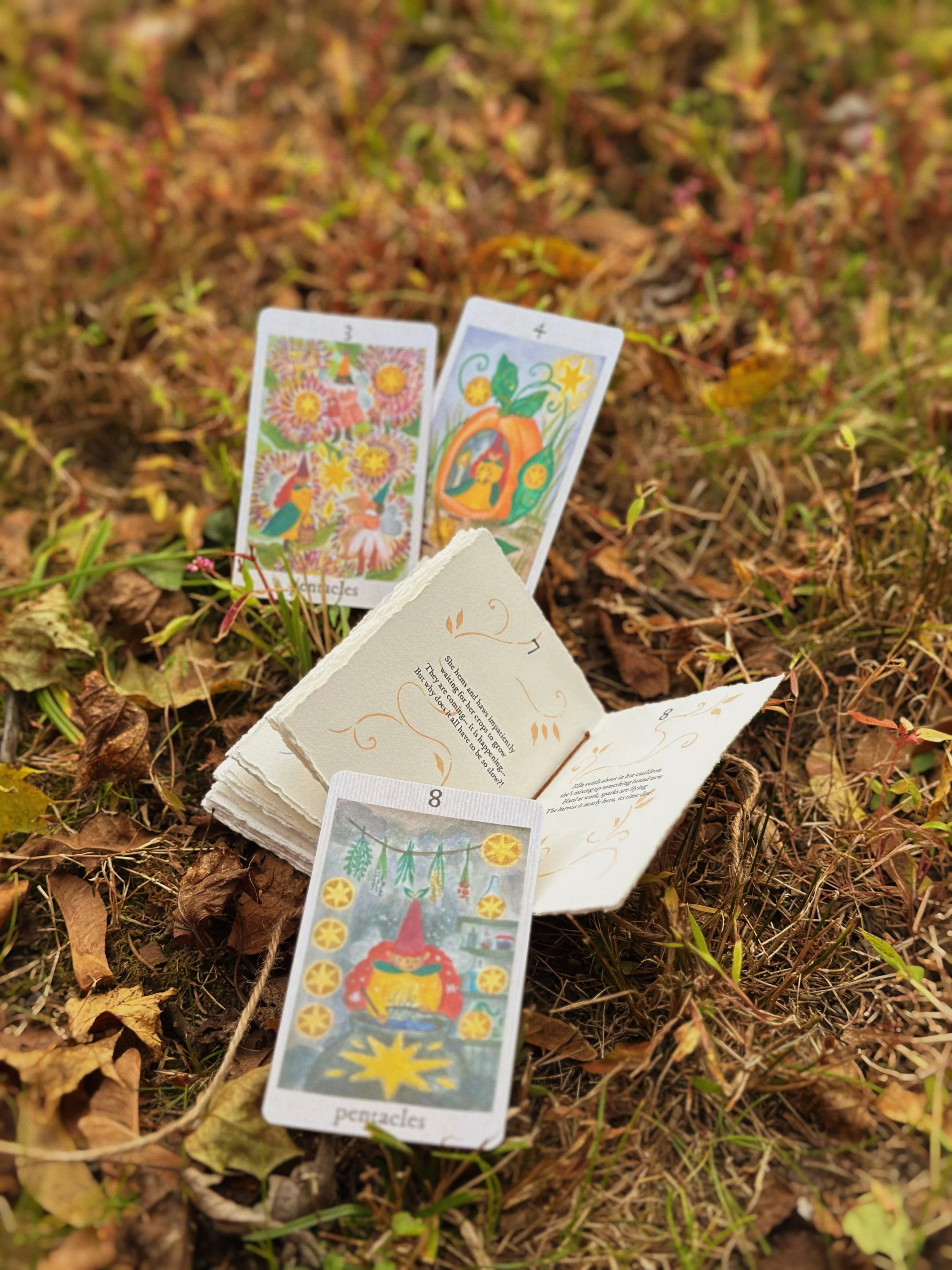 FullSizeRender_VSCO 24.JPG