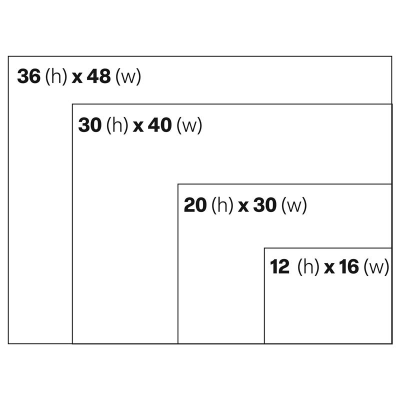 Lions_Tigers_Bear-sizing-grid.jpg