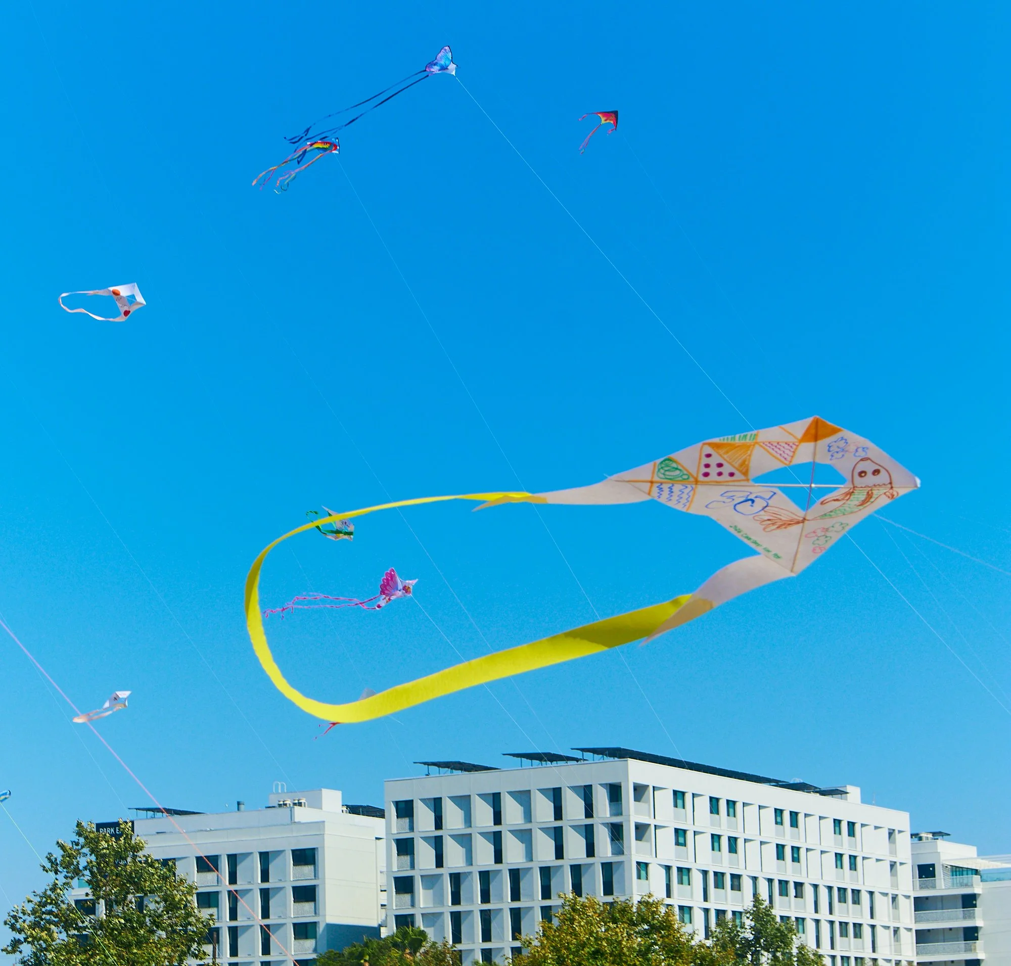 2026-05-09_kite-festival_kell-lorenz_1650.jpg