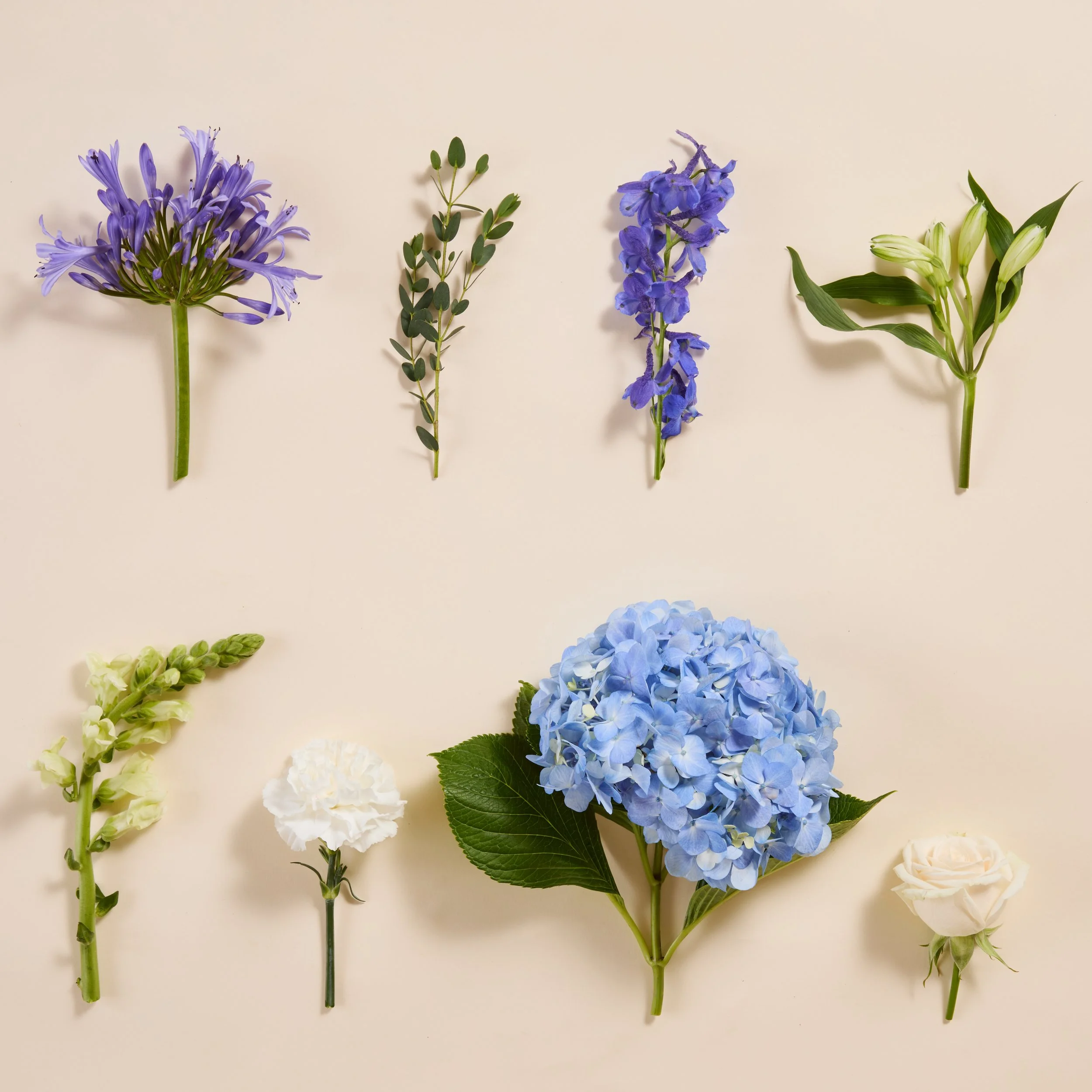 SUM26_TheAquamarineDIYFlowerBox_OH_1362_RT.jpg