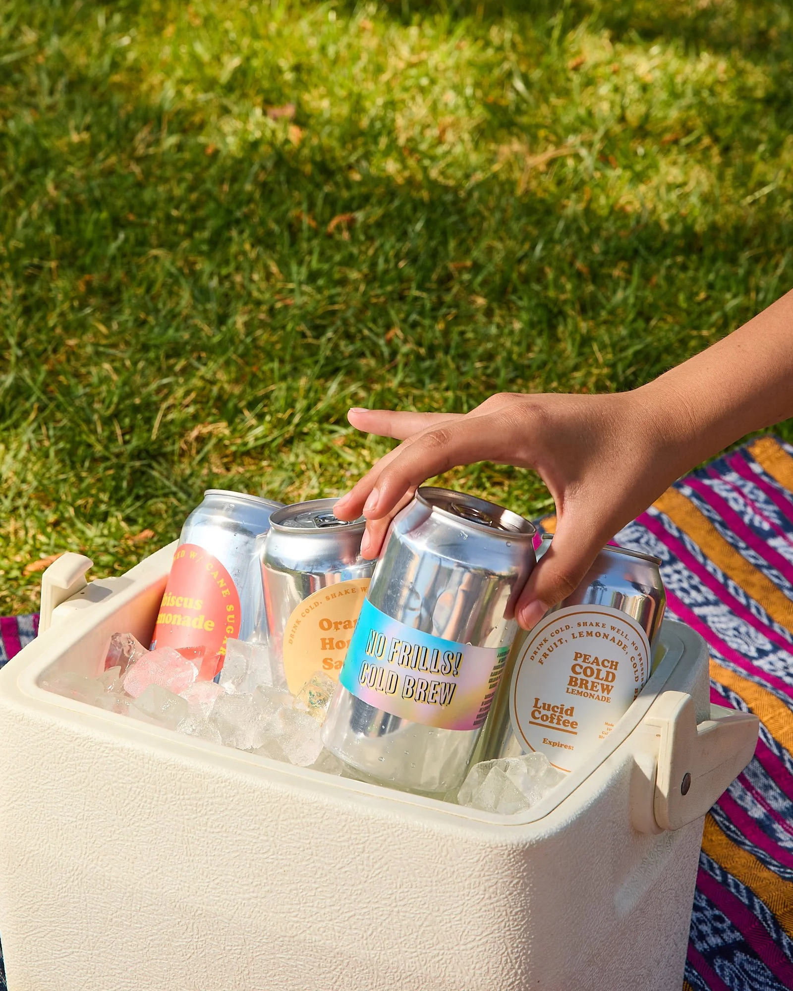hand-grabbing-drink-reaching-cooler-ice-cans-party-picnic.jpg