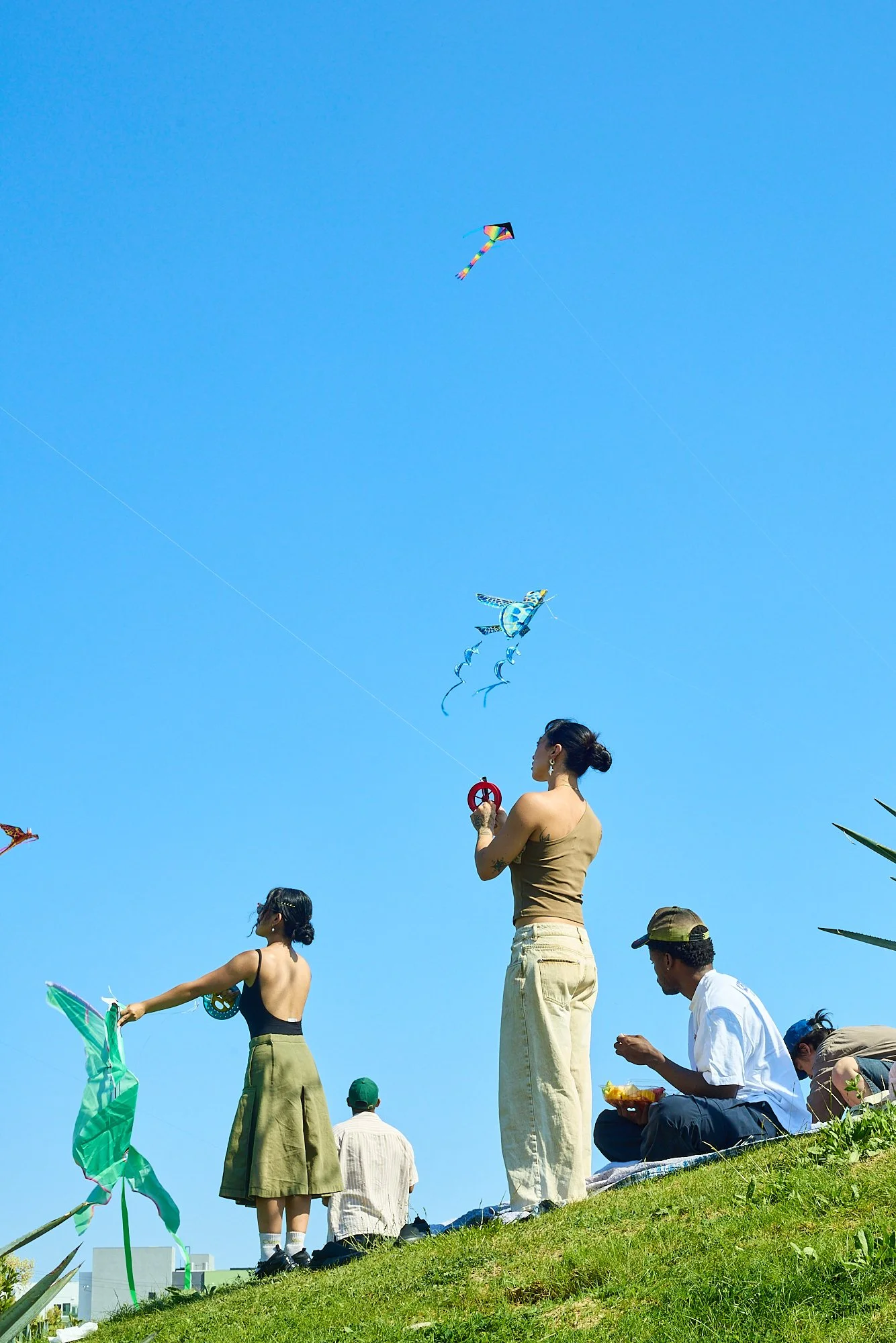 2026-05-09_kite-festival_kell-lorenz_1483.jpg