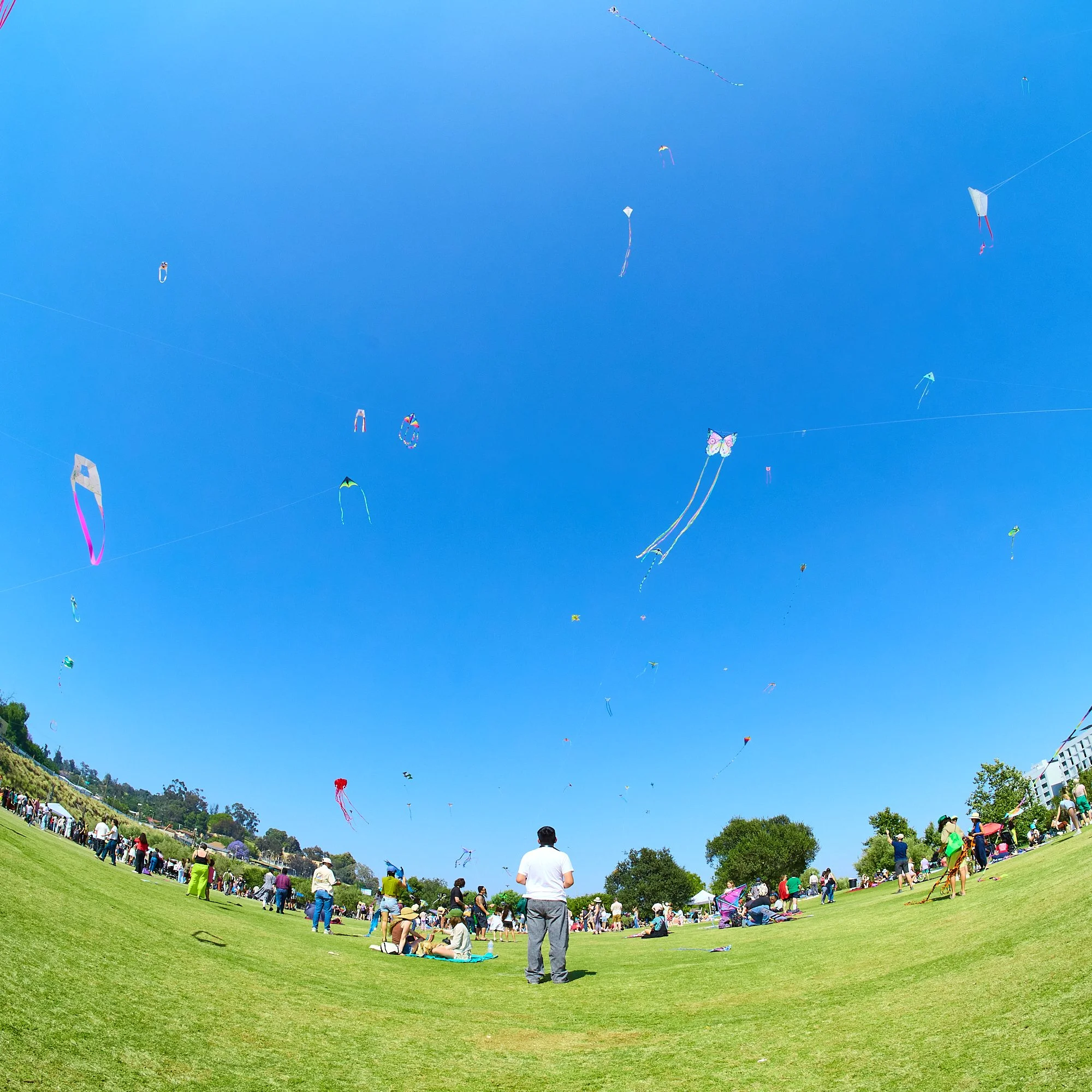 2026-05-09_kite-festival_kell-lorenz_1398 1.jpg