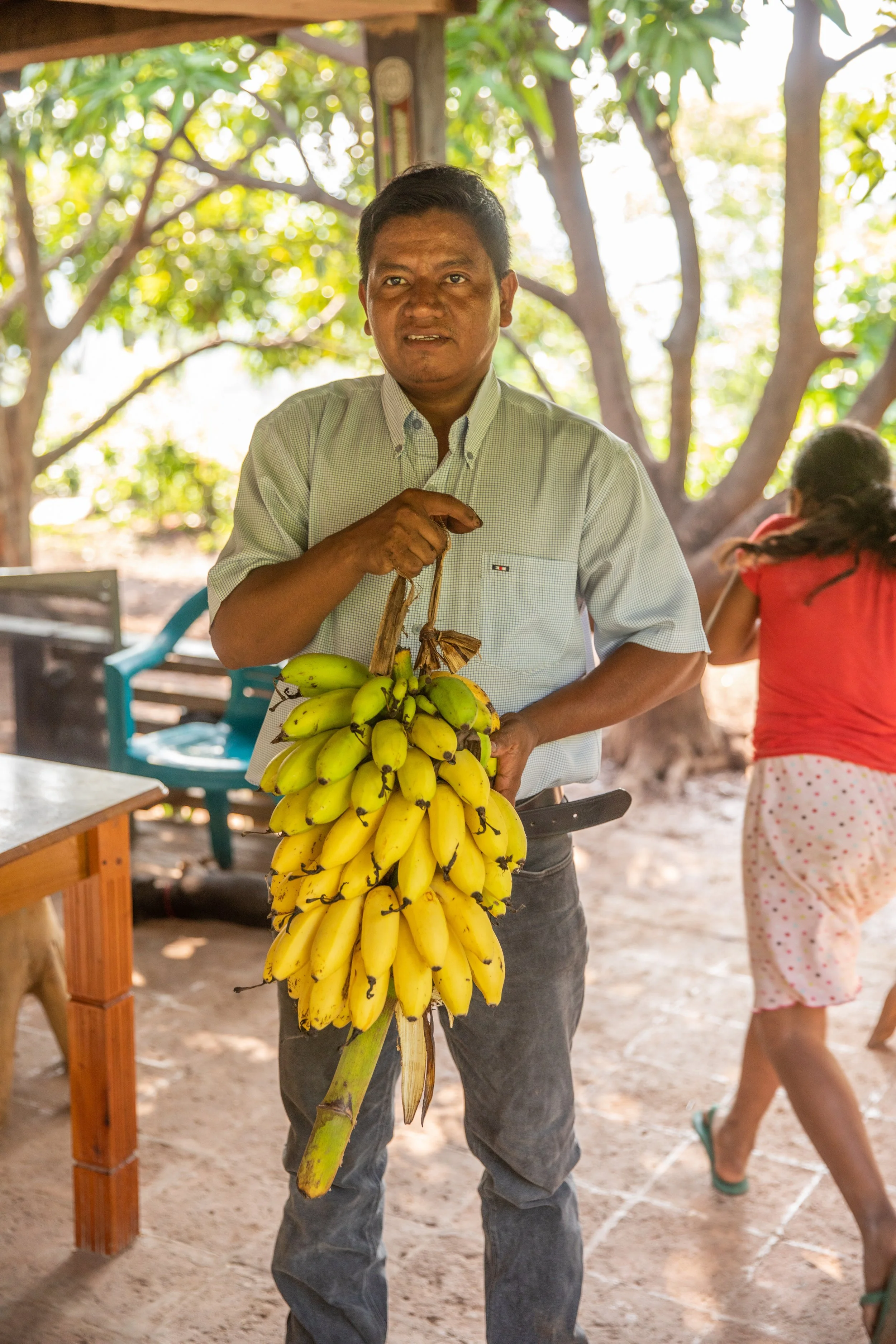 man-carrying-banana-stalk-homegrown-farm-organic-honduras.jpeg