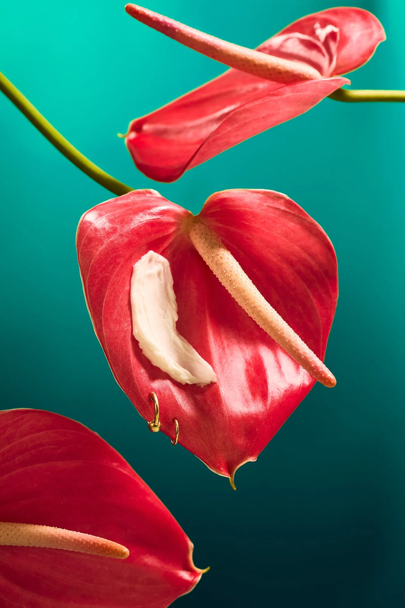 26-04-19_KLP_earthy-corazon_377.jpg