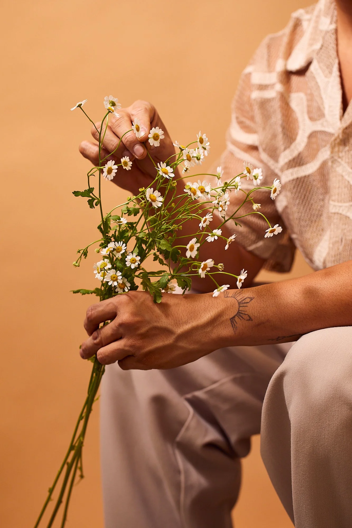 muscular-hand-holding-dainty-chammomile-flowers.jpg
