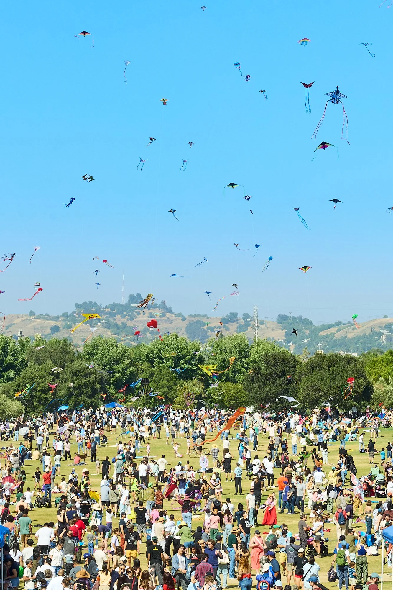 2026-05-09_kite-festival_kell-lorenz_1519.jpg