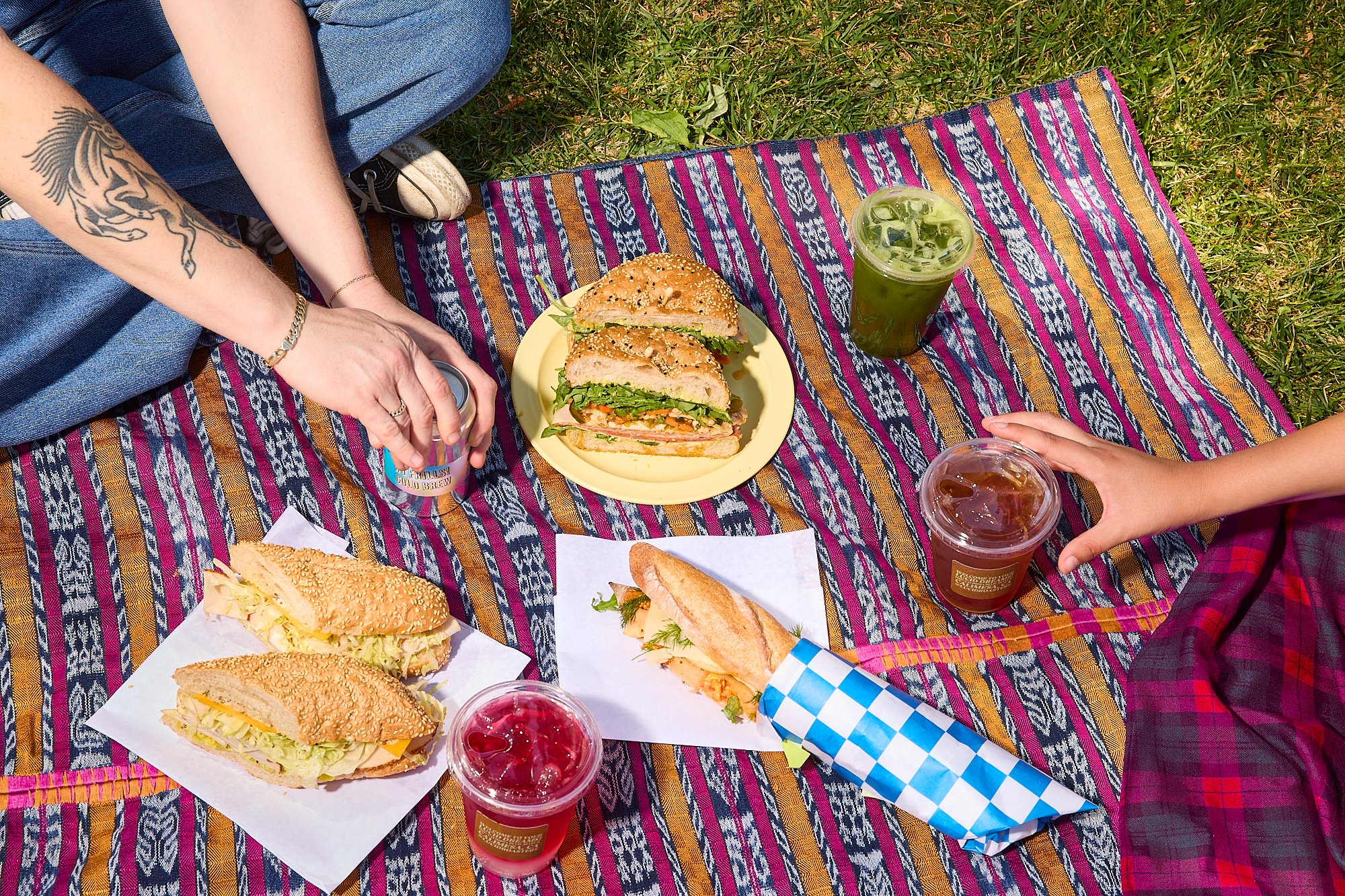 picnic-sandwiches-blanket-friends-summer-park-lifestyle-iced-tea-coffee-baguette.jpg
