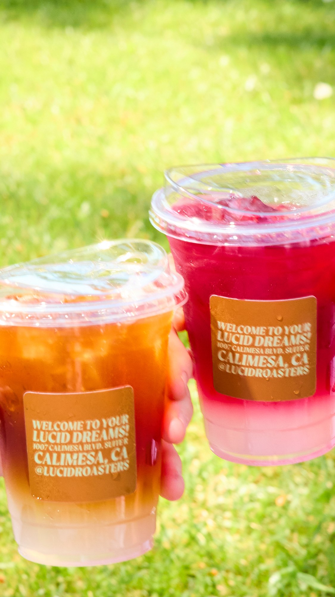 iced-coffee-tea-lemonade-drinks-cheers-outdoors-sunlight-glowy.jpg