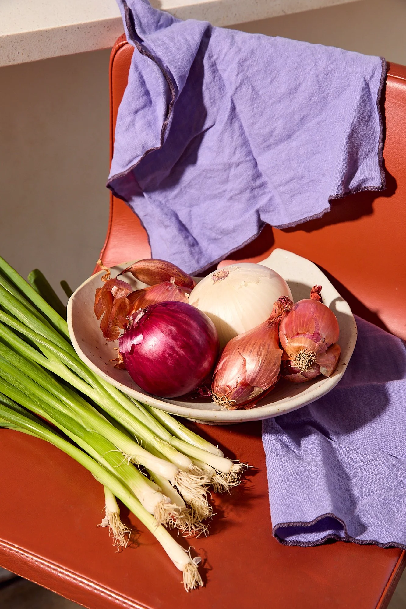 alliums-on-chair-onions-red-white-green-purple-napkin-shiny.jpg