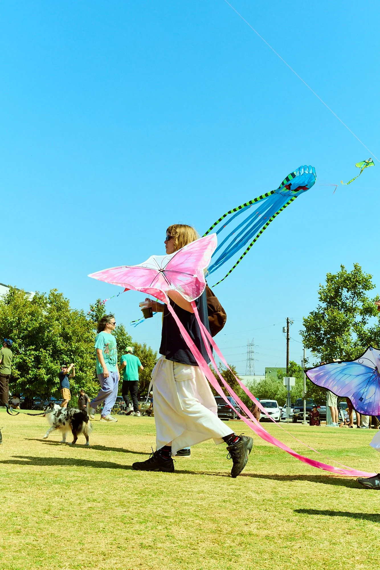2026-05-09_kite-festival_kell-lorenz_1366.jpg