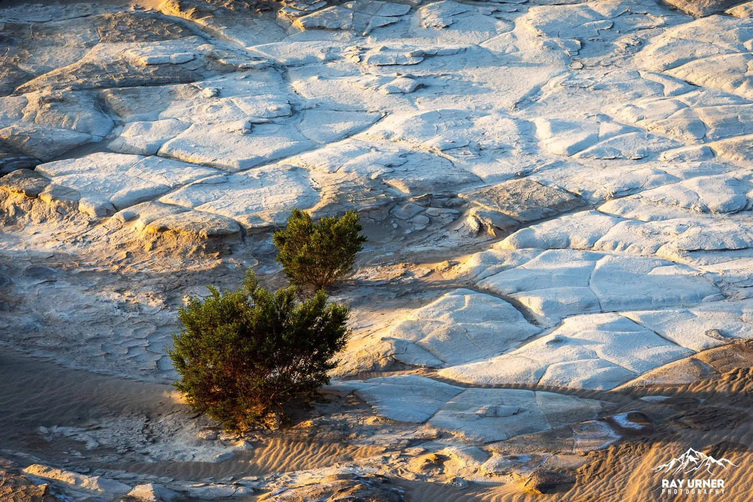 Death-Valley-Mesquite-Sand-Dunes-Sunrise-038.jpg