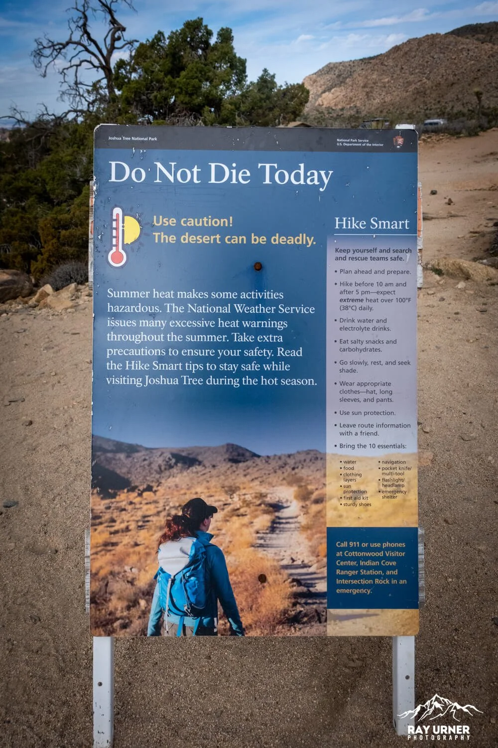 Ryan Mountain Summit