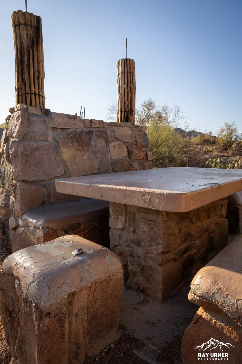 Saguaro-Signal-Hill-Petroglyphs 002.jpg