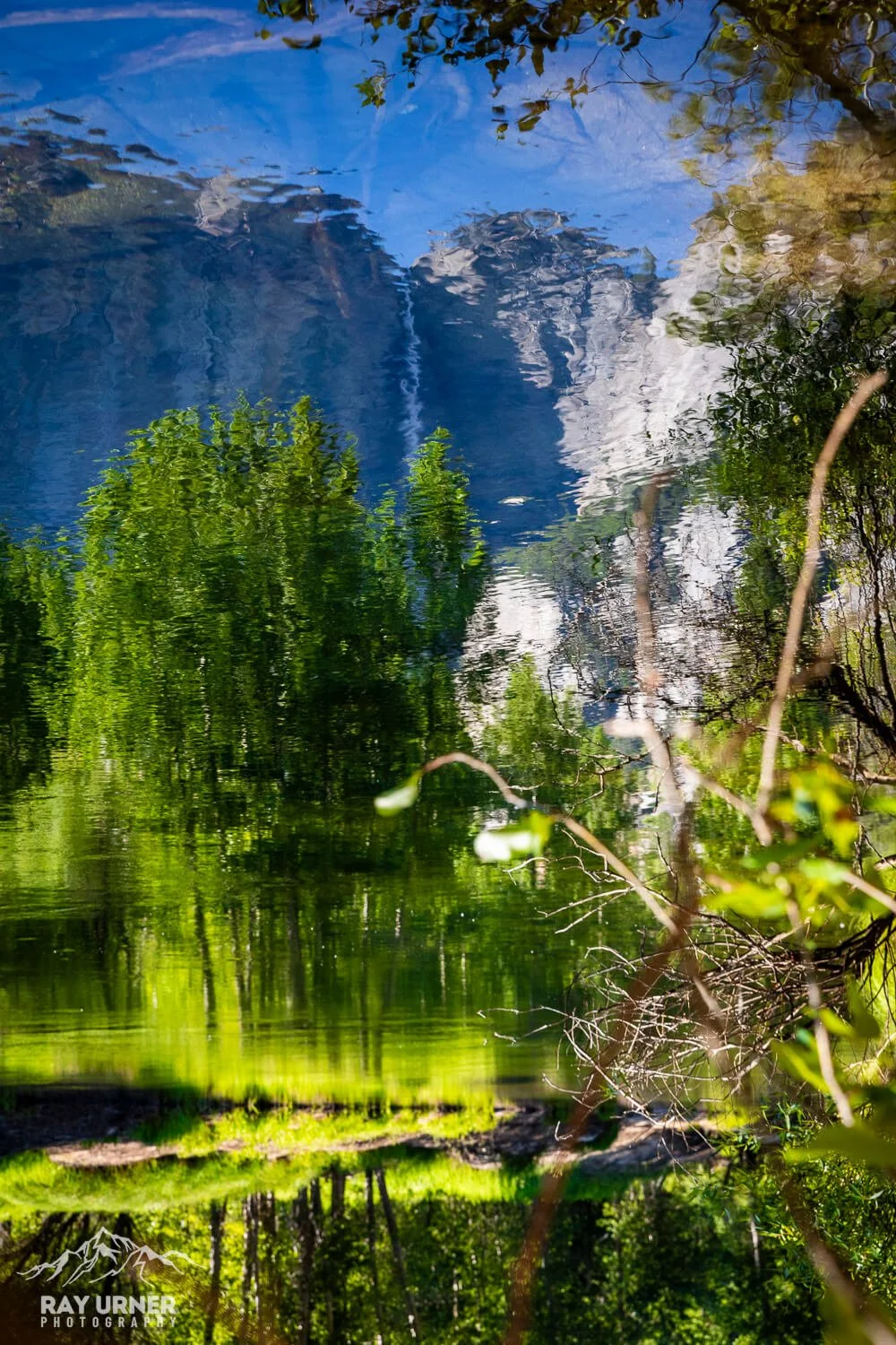 Reflection of blue sky, trees, and foliage in a calm body of water, with some branches and leaves in the foreground.