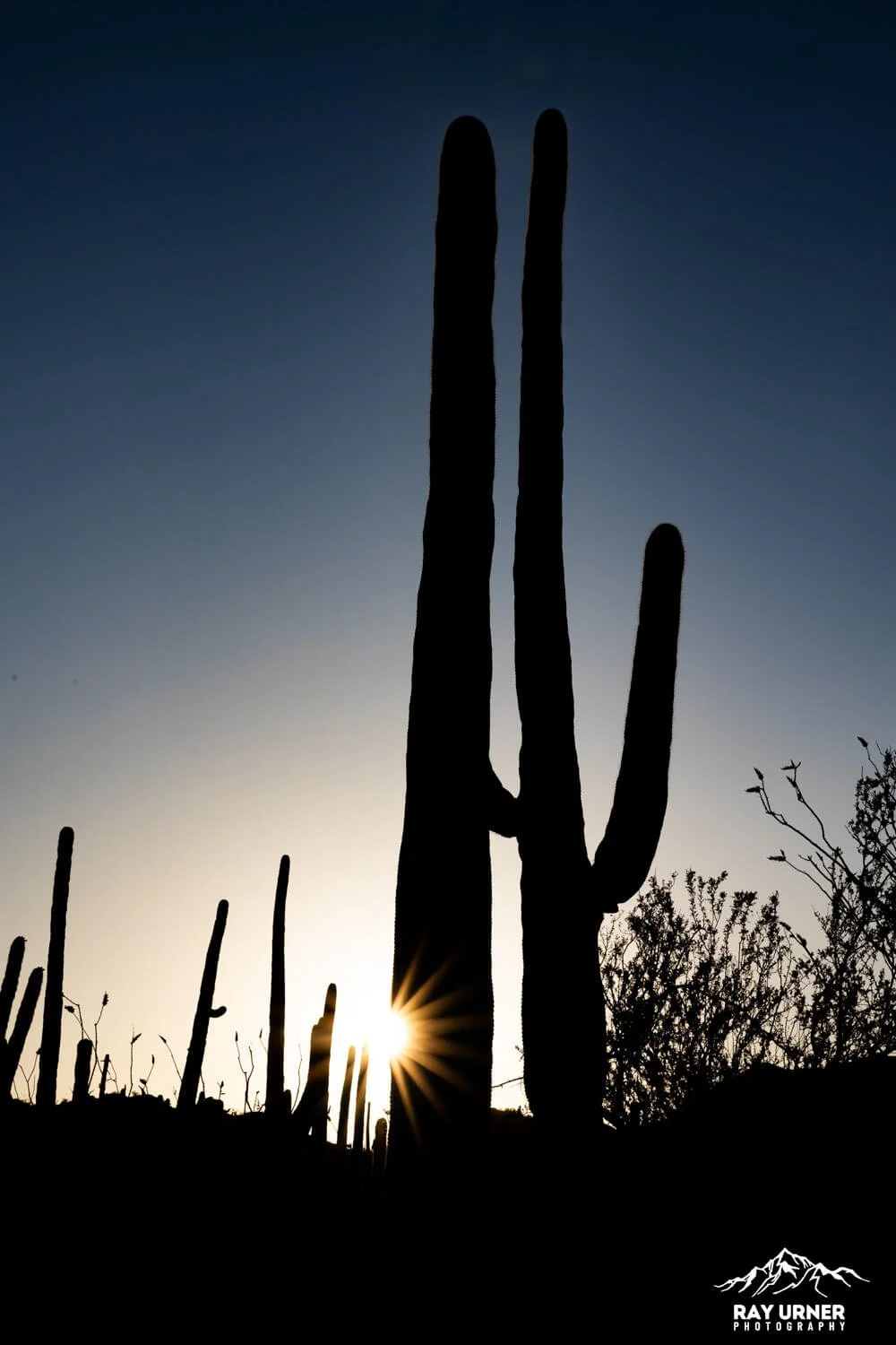 Saguaro-Valley-View-Overlook-Trail 007.jpg