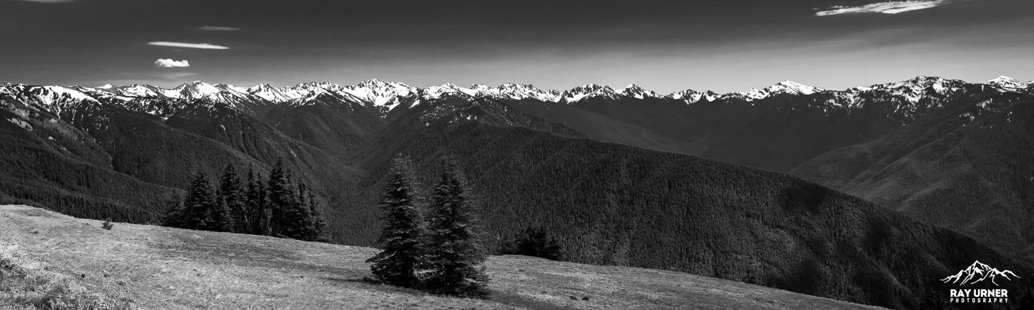 Hurricane-Ridge-Olympic-018.jpg