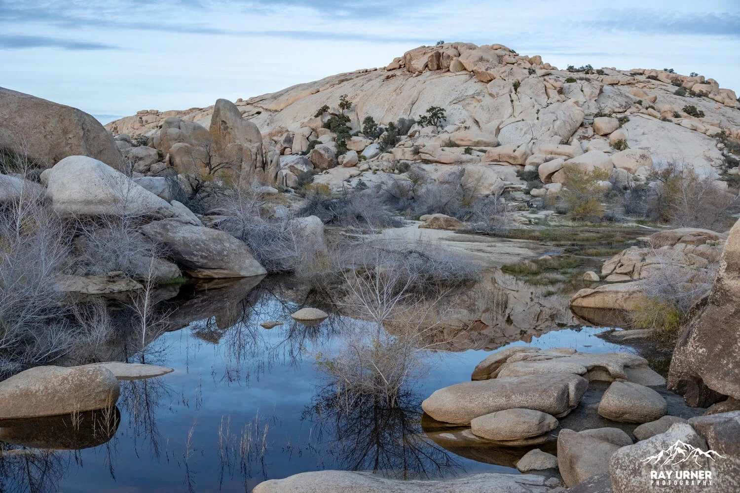 Joshua-Tree-Barker-Dam-022.jpg