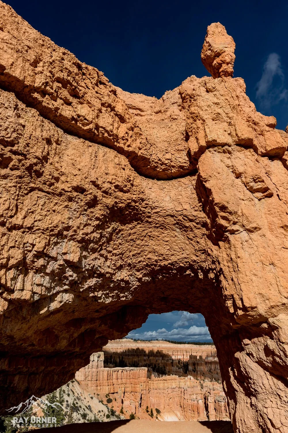 Peek-A-Boo Loop Trail
