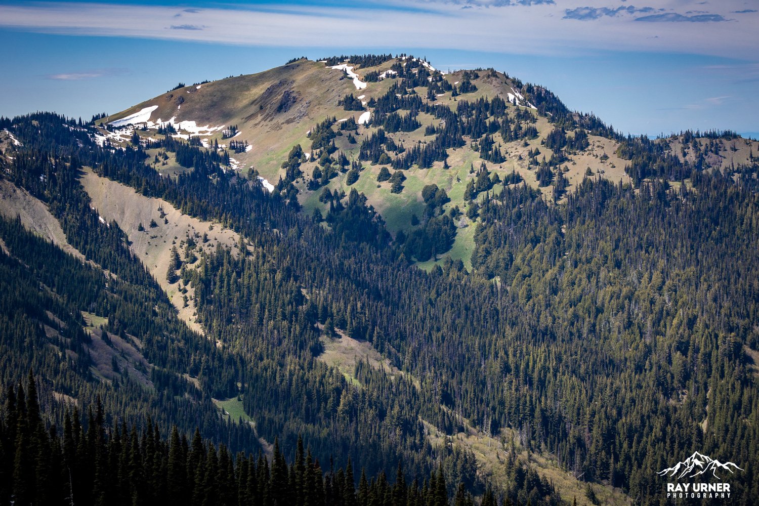Hurricane-Ridge-Olympic-004.jpg