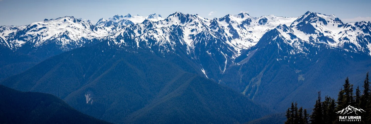 Hurricane-Ridge-Olympic-022.jpg