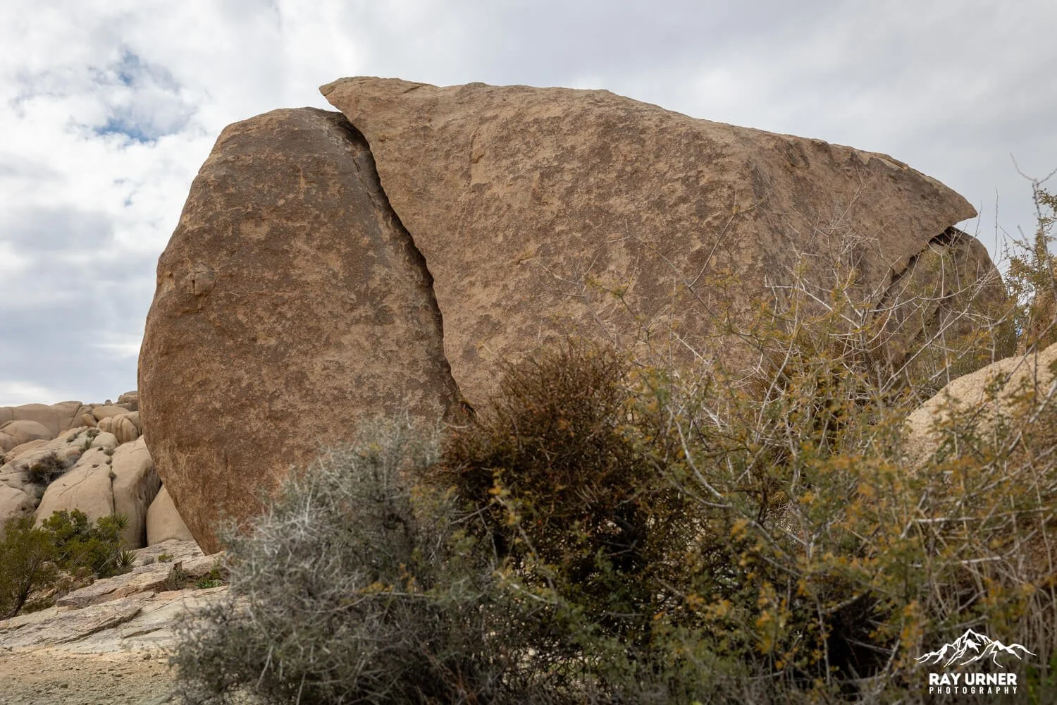 Joshua-Tree-Split-Rock-007.jpg
