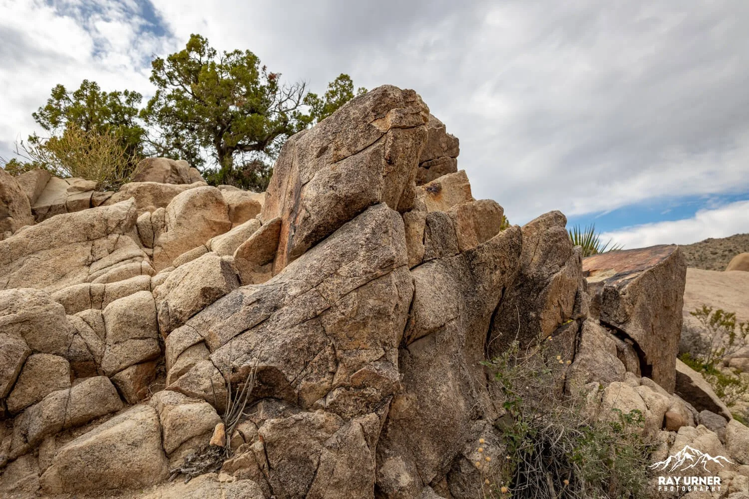 Joshua-Tree-Split-Rock-014.jpg
