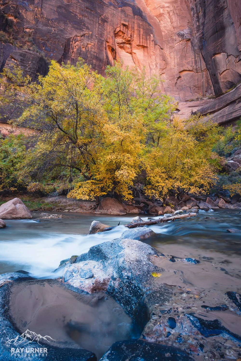Zion National Park in Utah - Fall colors at The Temple of Sinawava