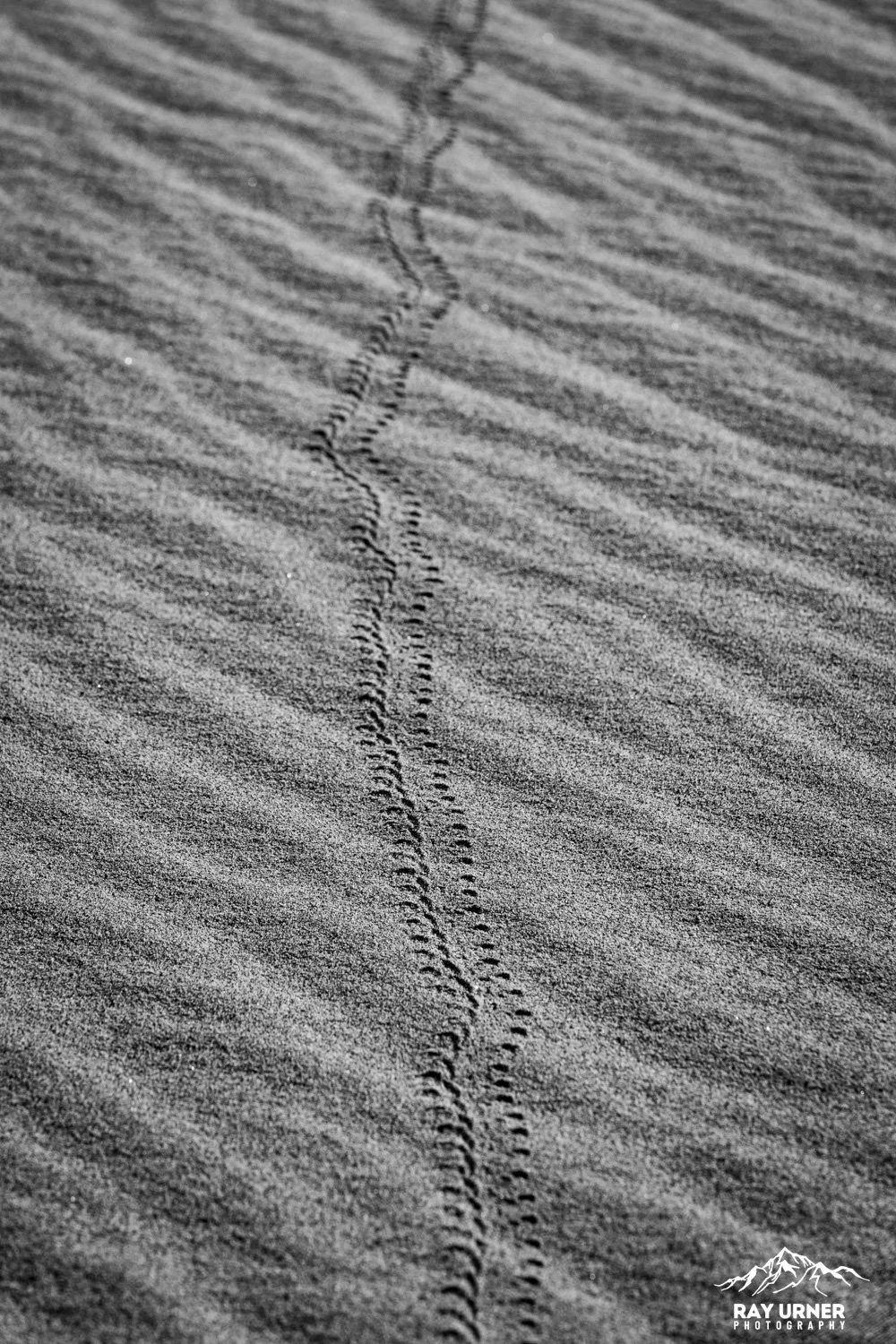 Death-Valley-Mesquite-Sand-Dunes-Sunrise-056.jpg