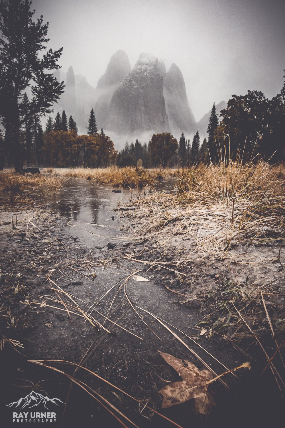 Yosemite-National-Park-Bomb-Cyclone-006.jpg