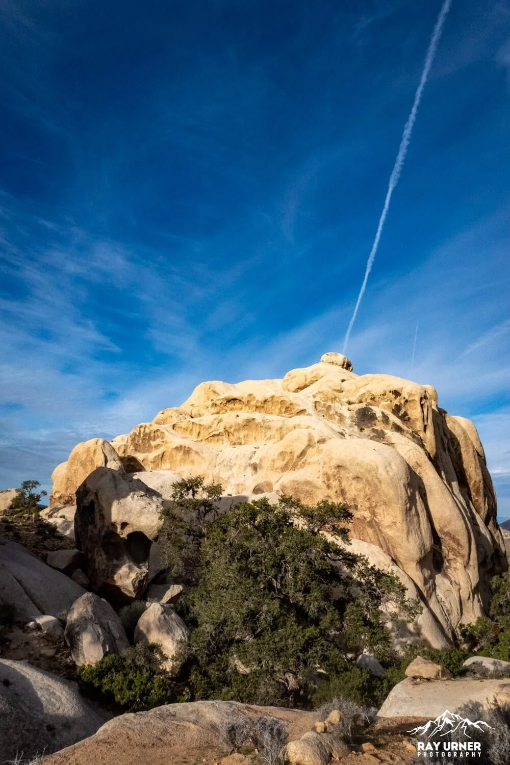 Joshua-Tree-Ryan-Mountain-005.jpg