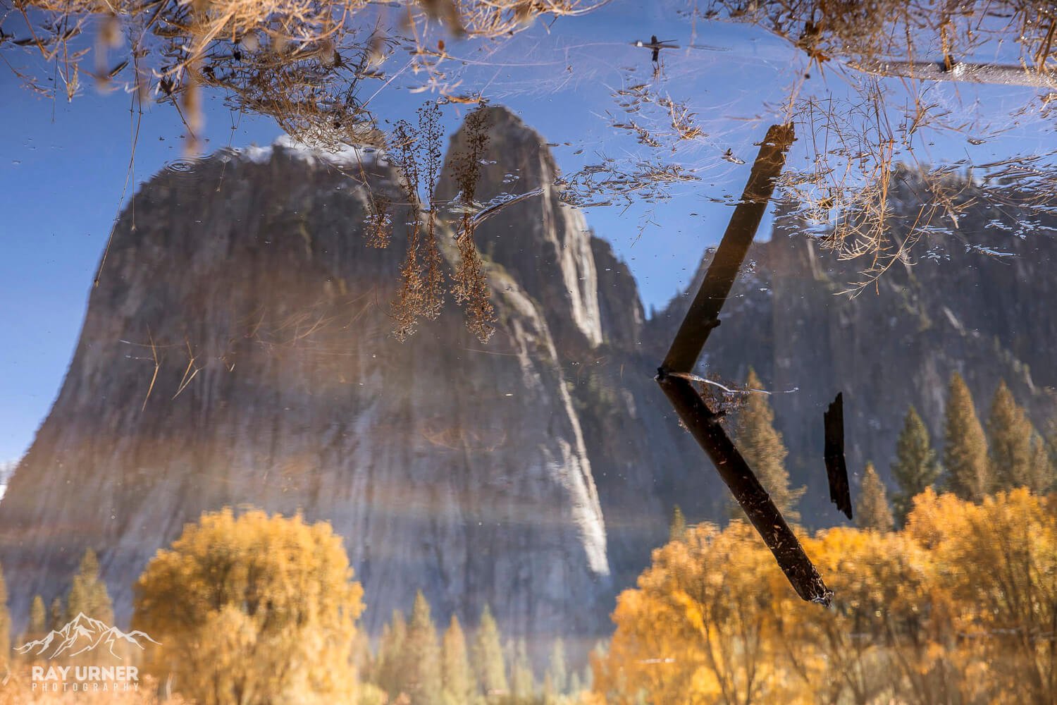 Yosemite-Valley-009.jpg