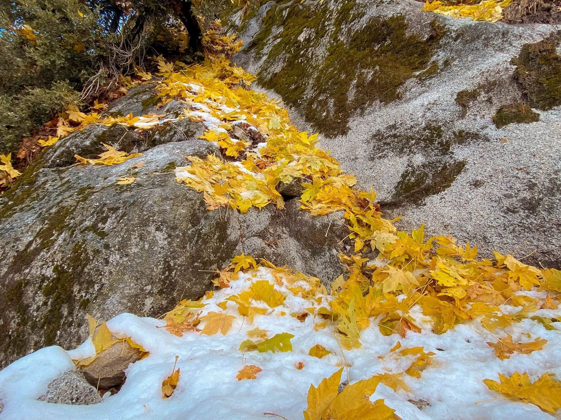 Yosemite-John-Muir-Trail-autumn.jpg